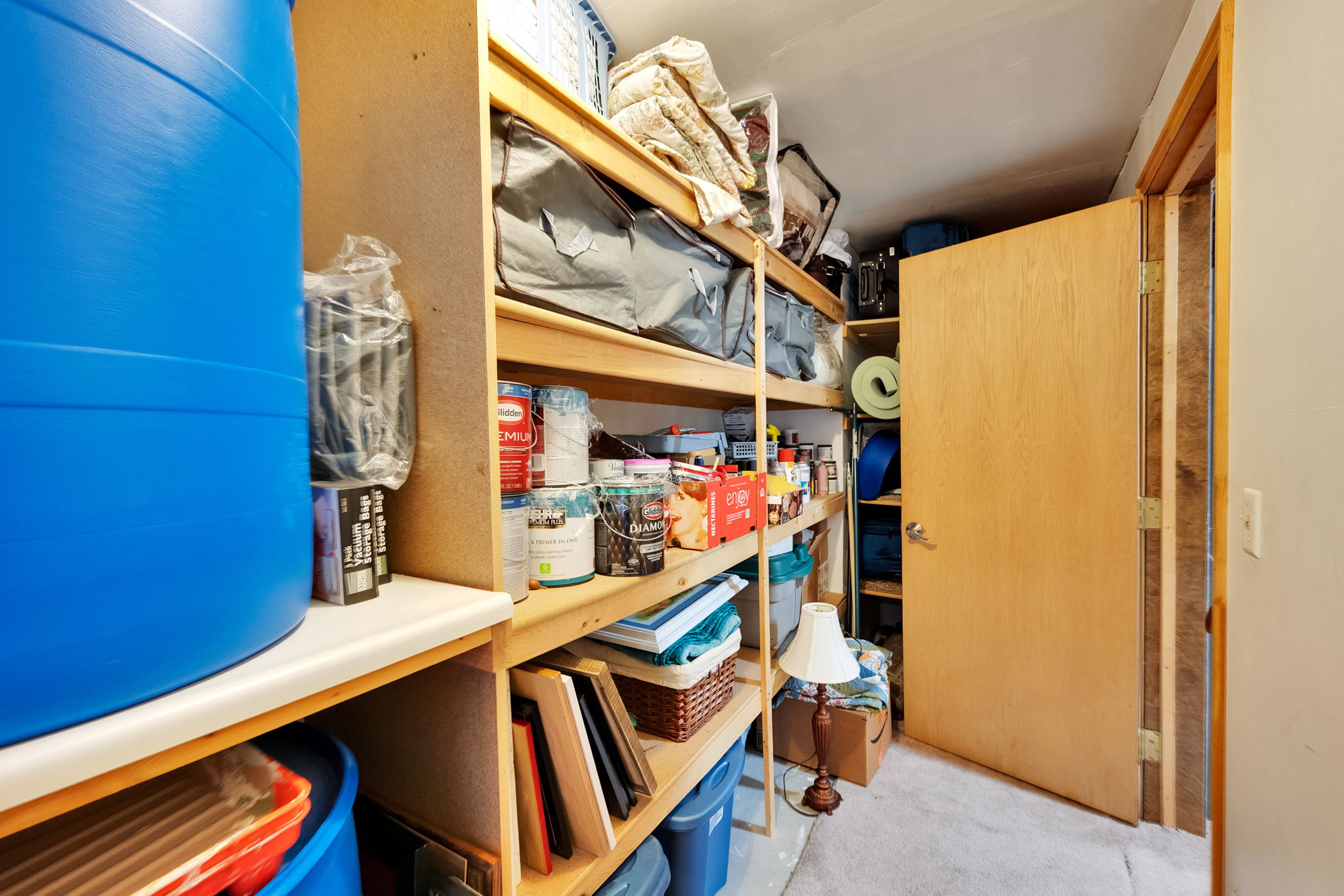 Dedicated utility room featuring extensive built-in shelving, durable carpeting, and a wooden door