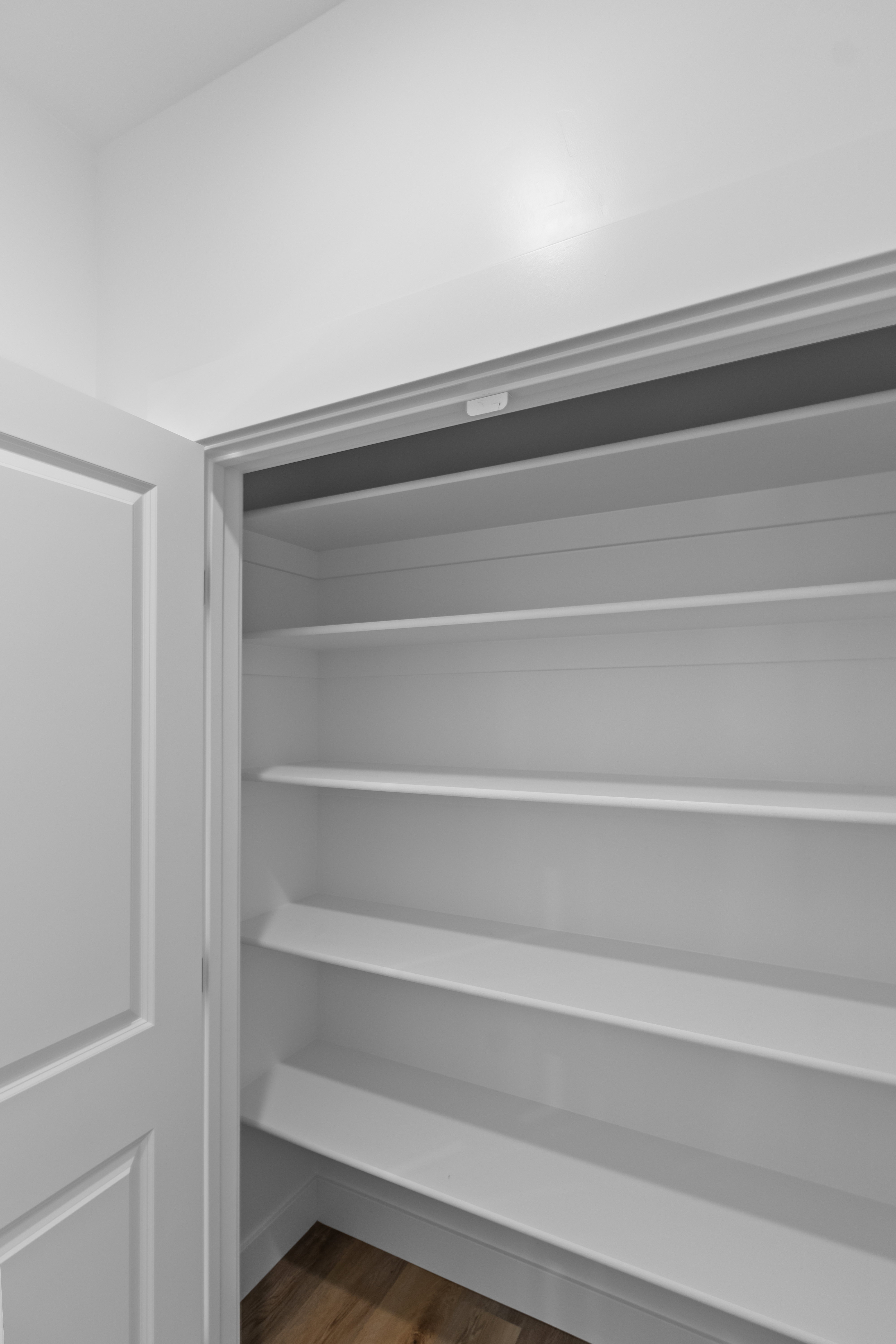 Pantry featuring multiple white shelving units, white walls, and wood-finish flooring