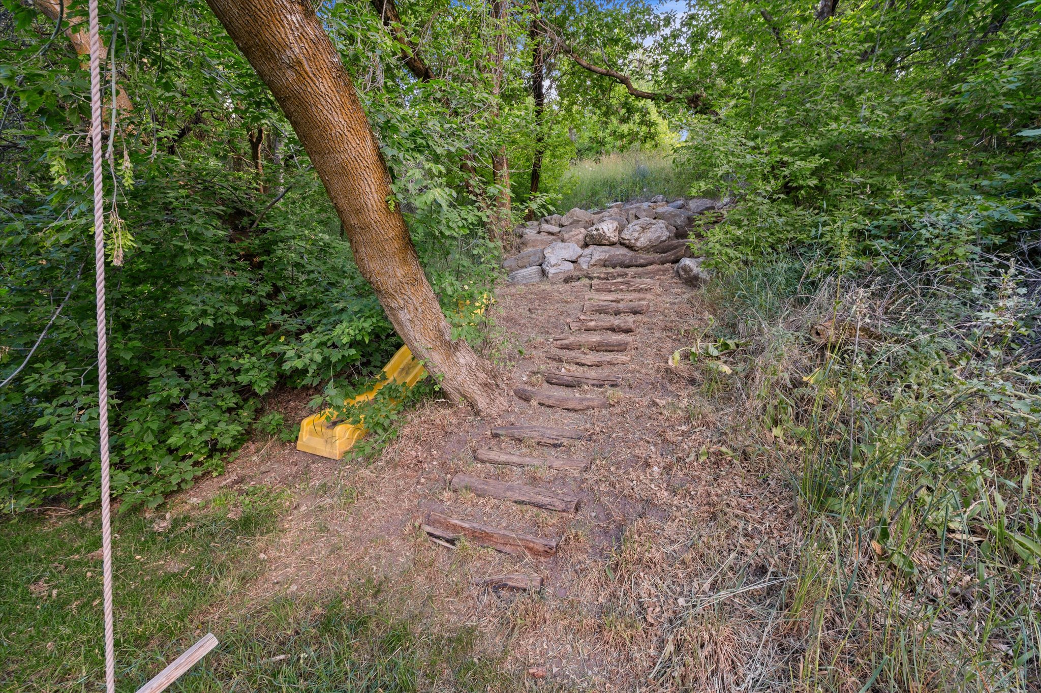 Terraced hillside path featuring natural wood risers and stone accents, surrounded by abundant mature trees and varied foliage