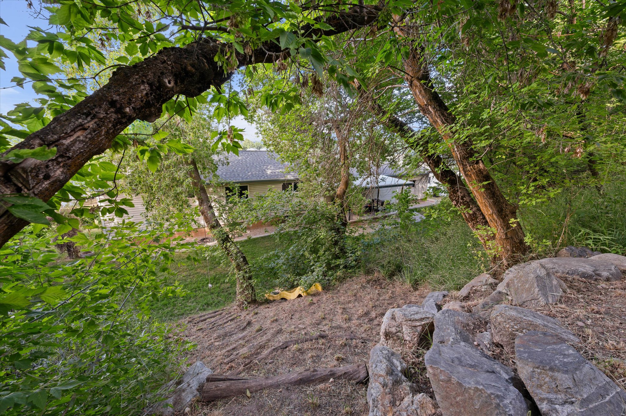 Natural landscaping with mature trees and visible rock formations