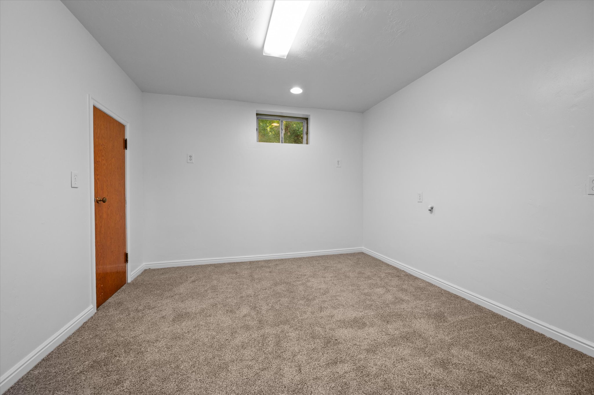 Carpeted room featuring white walls, a wood-finish door, and a high window