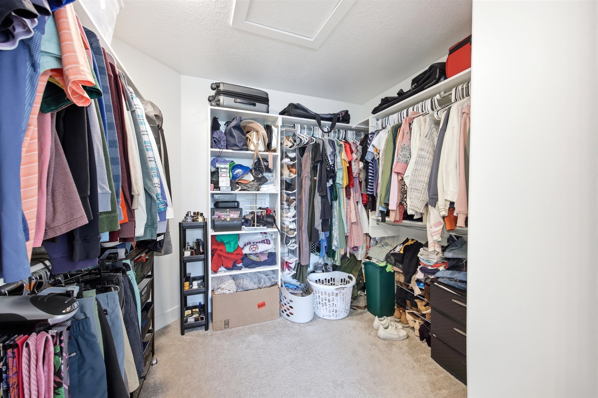 Walk-in closet featuring carpet flooring, built-in shelving, and multiple clothing rods