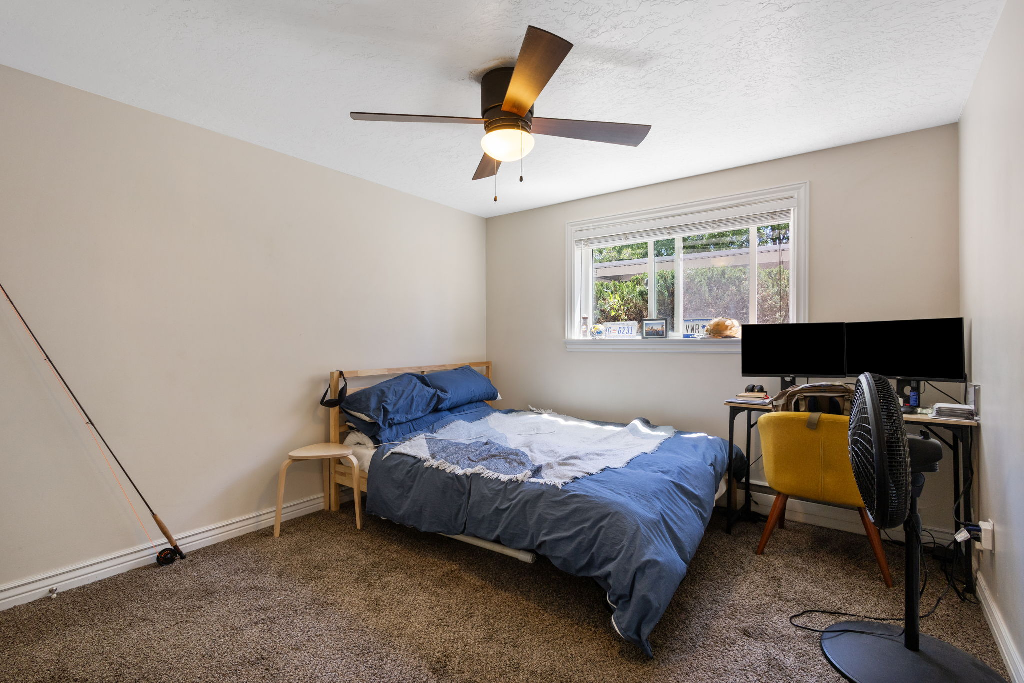 Carpeted room featuring a ceiling fan with integrated lighting, a window with white trim, and light-colored walls
