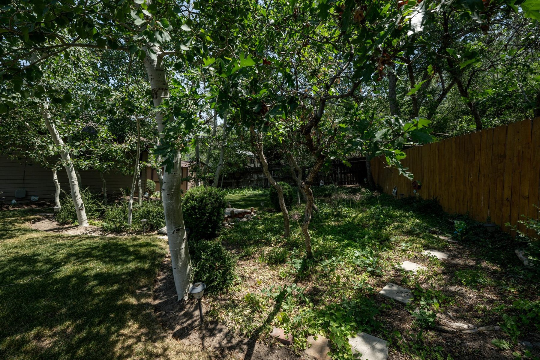 Landscaped backyard featuring established trees, natural ground cover, a wooden privacy fence, and stepping stones