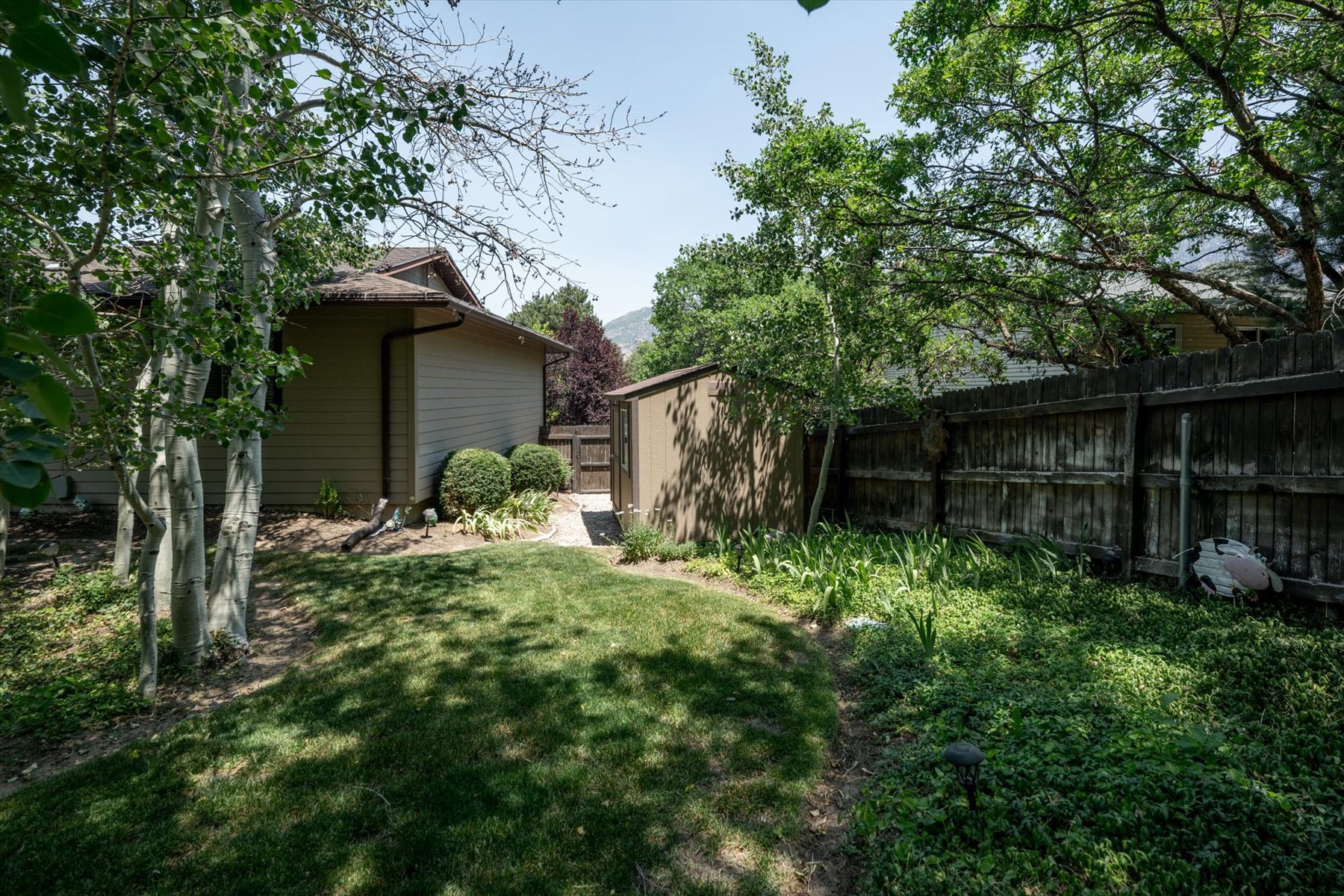 Expansive backyard featuring a manicured lawn, established trees, and a wooden privacy fence