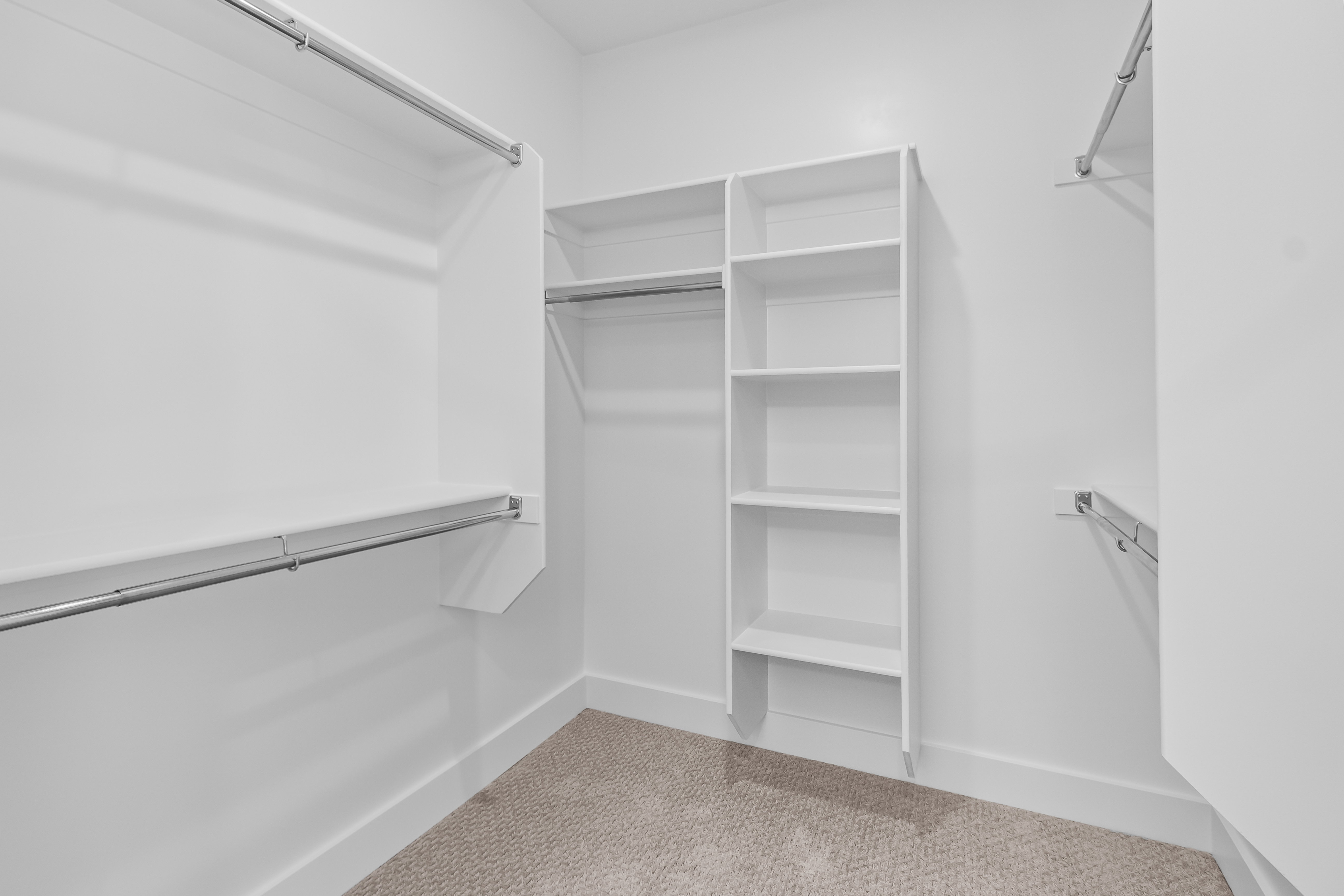 Walk-in closet featuring white built-in shelving, multiple hanging rods, and carpet flooring