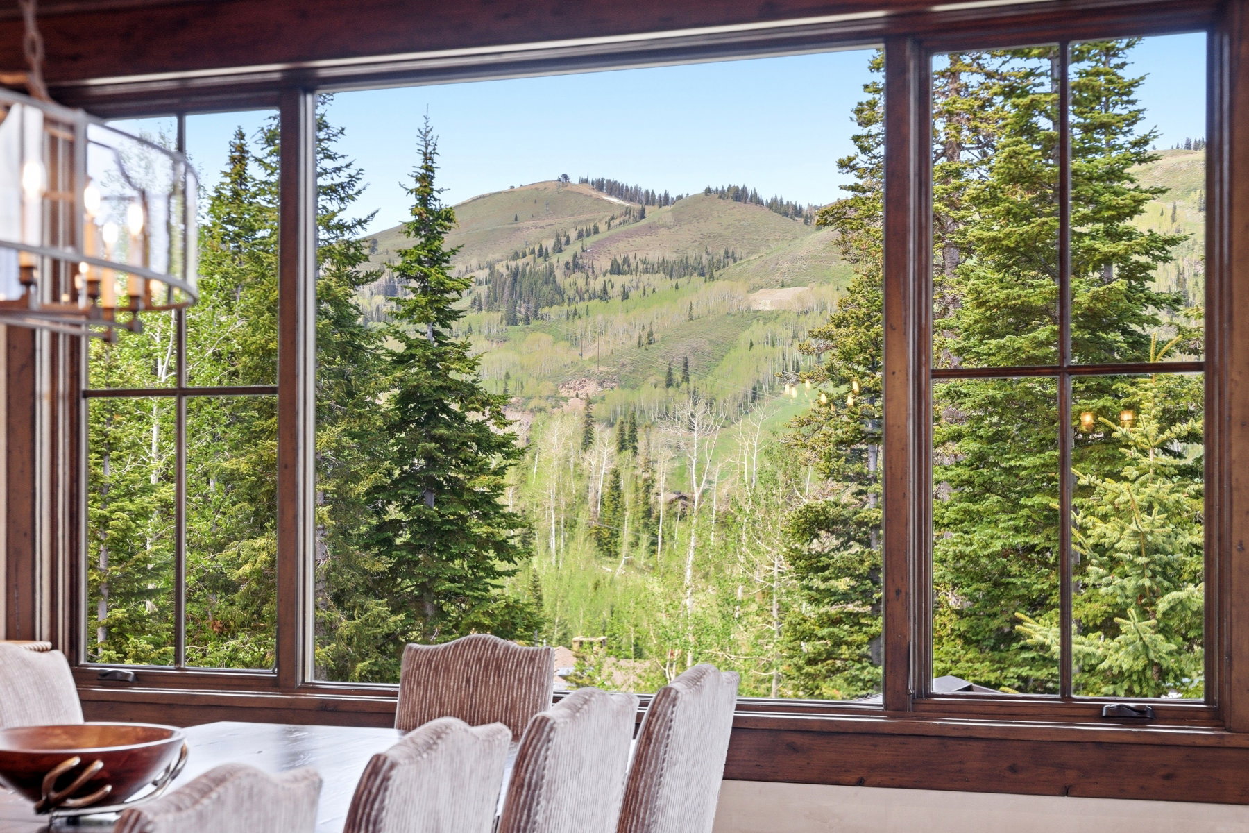 Expansive window framing a mountain and forest backdrop