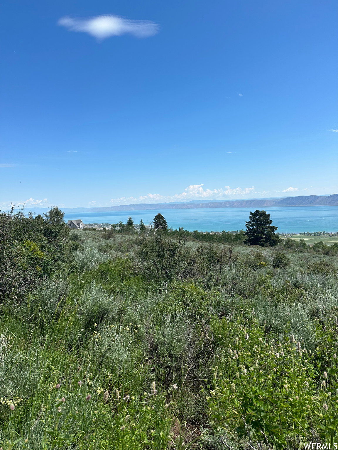 Expansive natural landscape featuring varied vegetation
