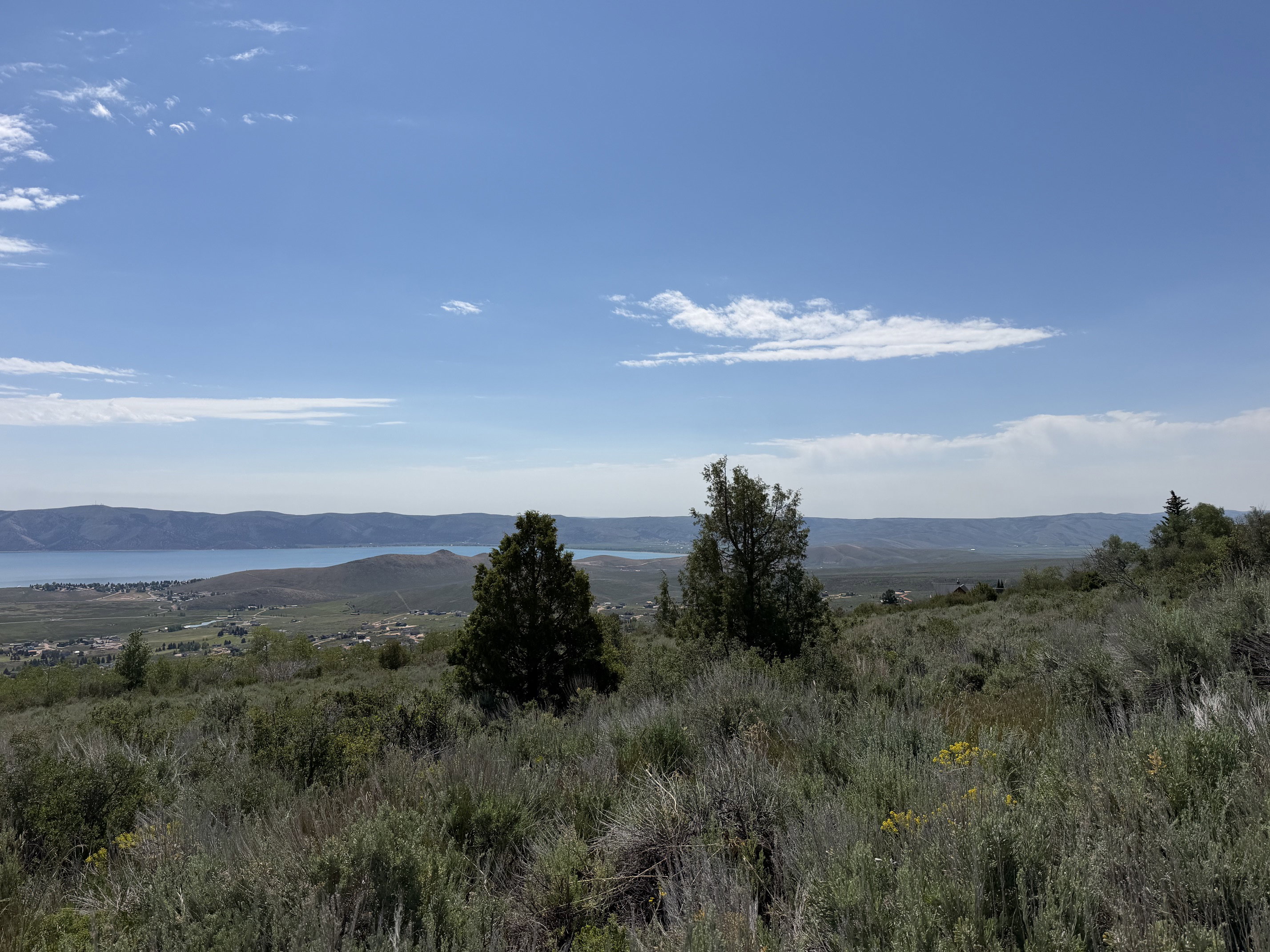 Expansive natural landscape featuring varied green foliage and scattered trees under a clear blue sky