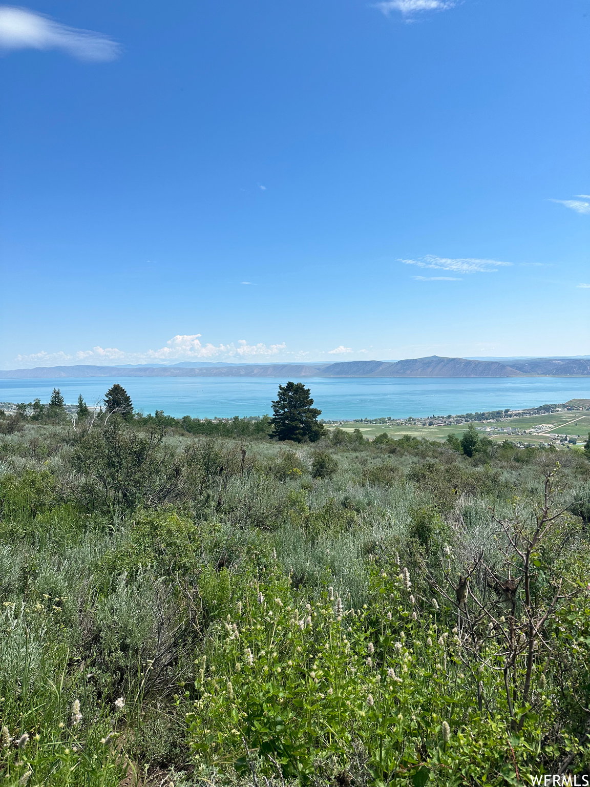 Expansive natural landscape with varied foliage, featuring a large body of water in the distance and a clear blue sky