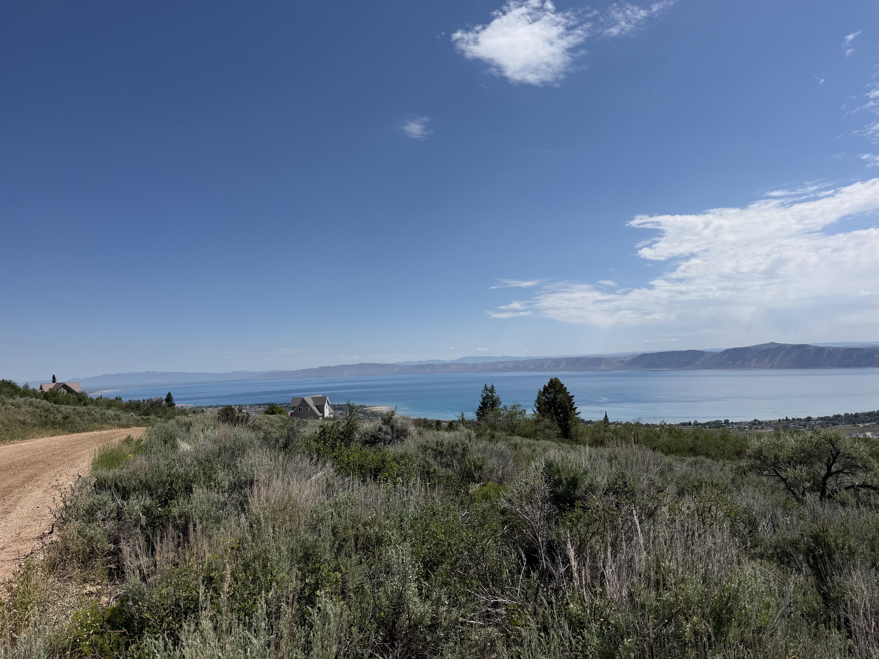 Expansive land parcel featuring a dirt road and natural vegetation