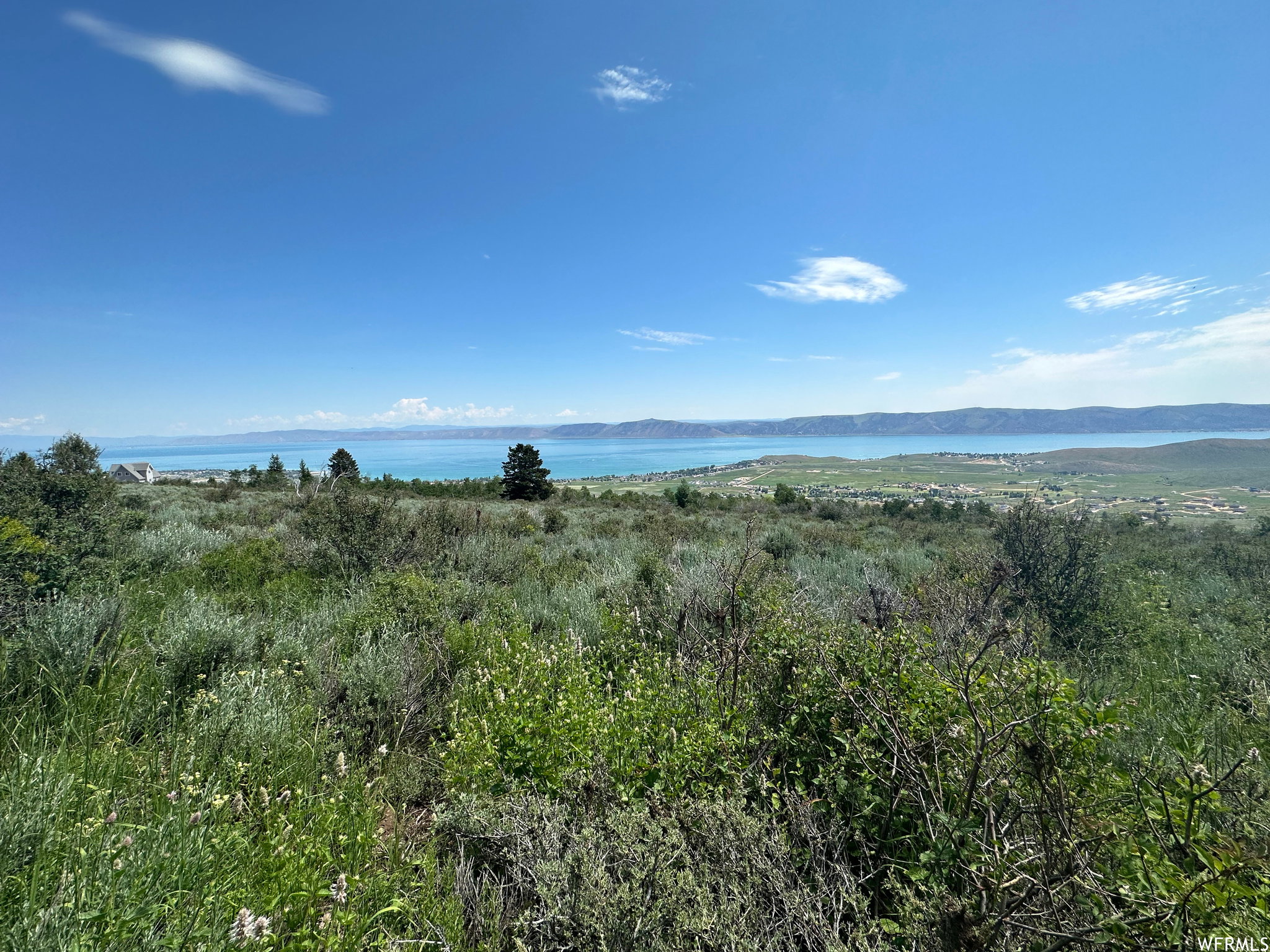 Expansive land parcel featuring natural shrubbery and varied terrain