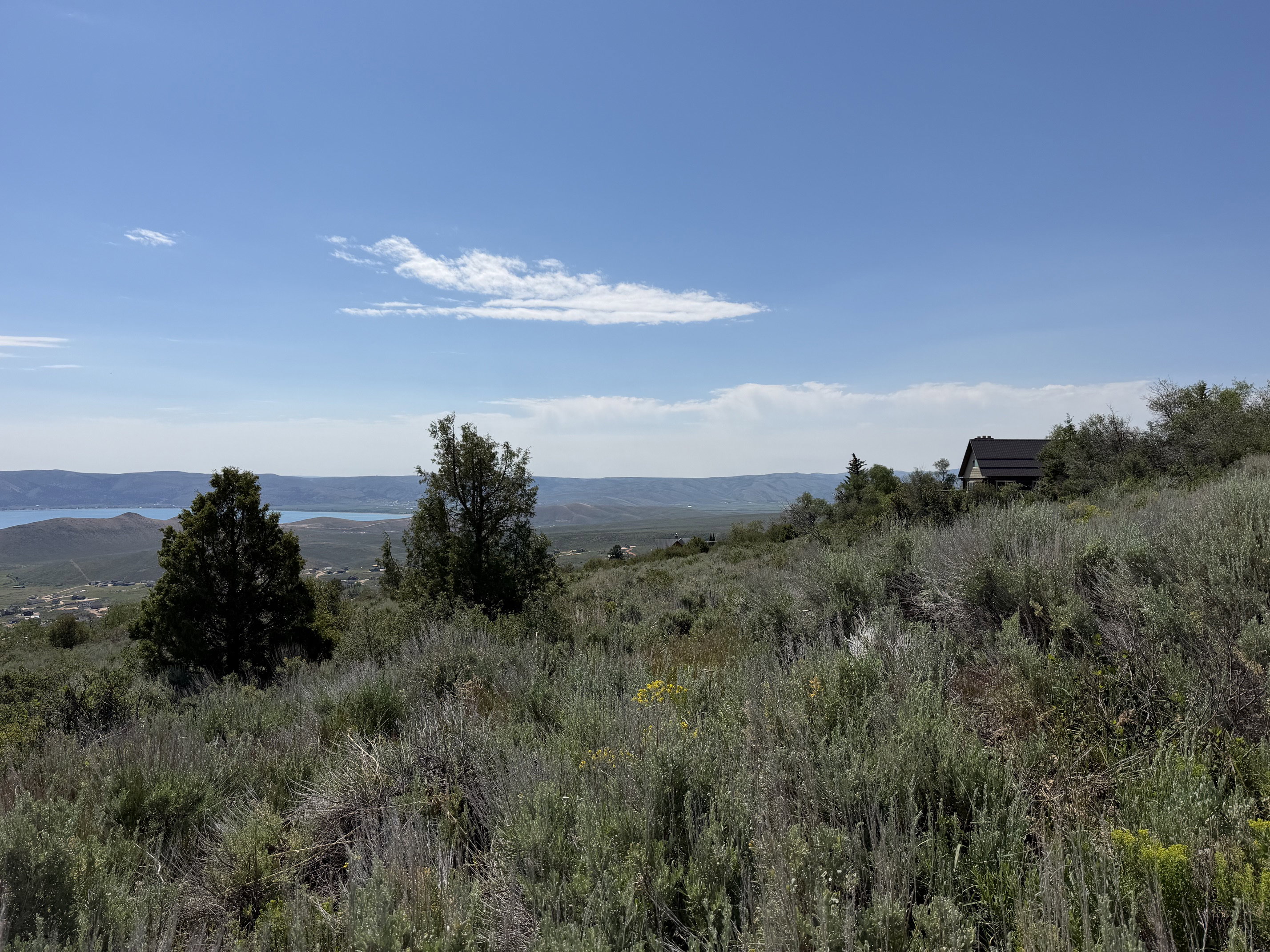 Expansive natural landscape with varied shrubbery and scattered trees