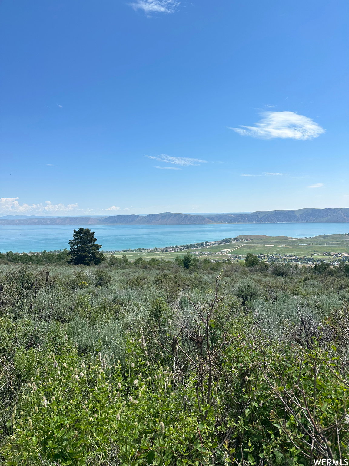 Expansive open land featuring diverse natural vegetation