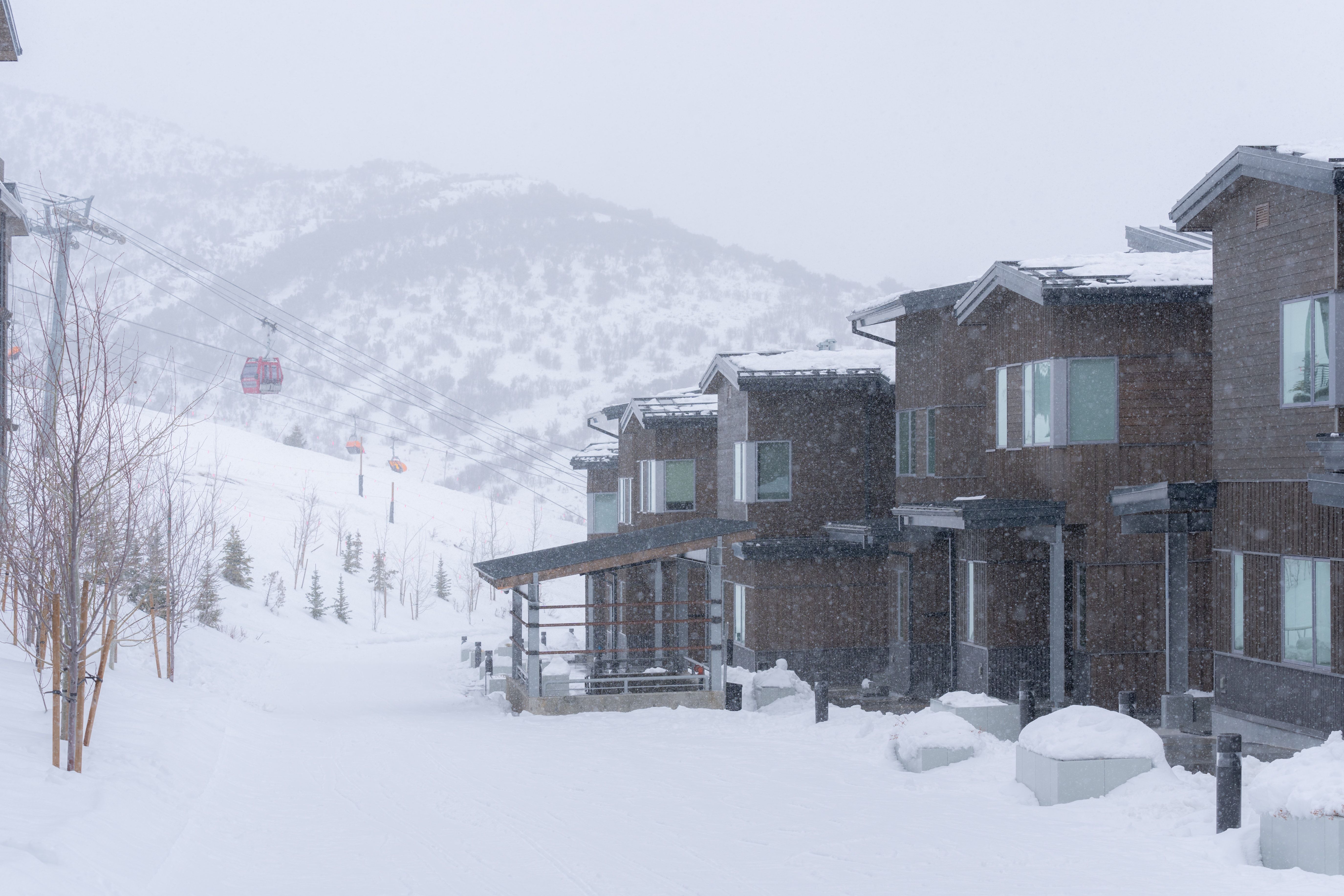 Modern multi-story residences featuring dark wood siding and gabled rooflines