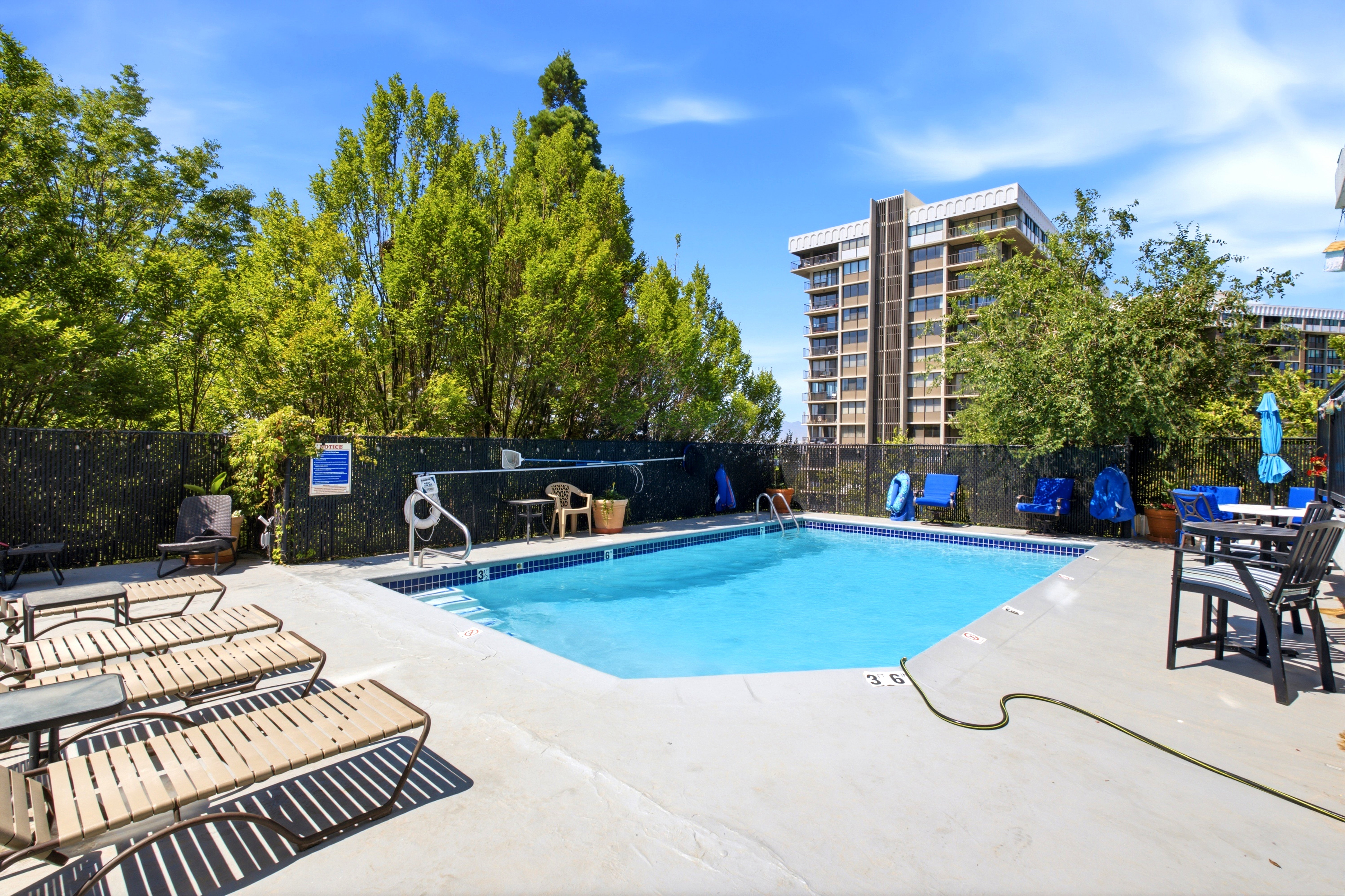 Outdoor swimming pool with a concrete deck, surrounded by mature trees and privacy fencing
