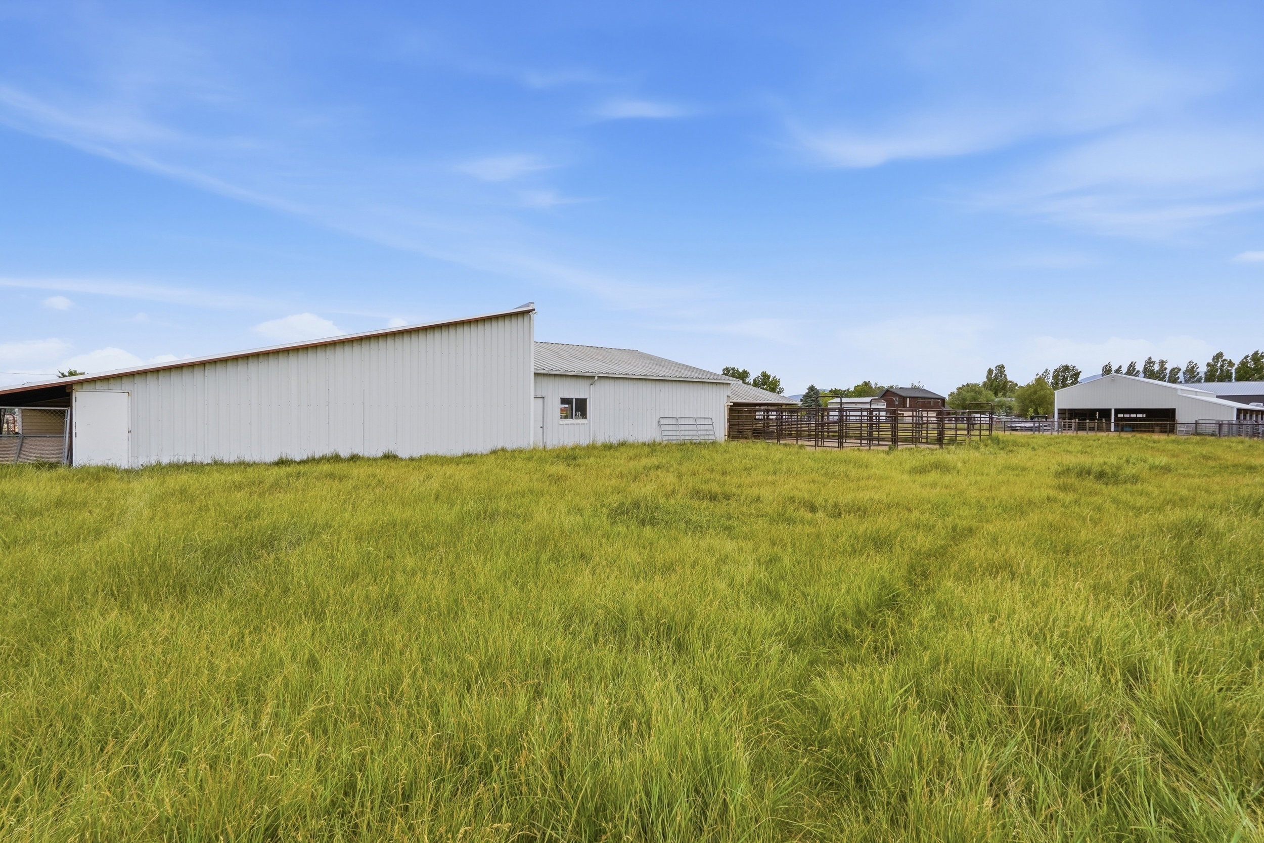 Expansive grassy field with multiple white metal-sided outbuildings
