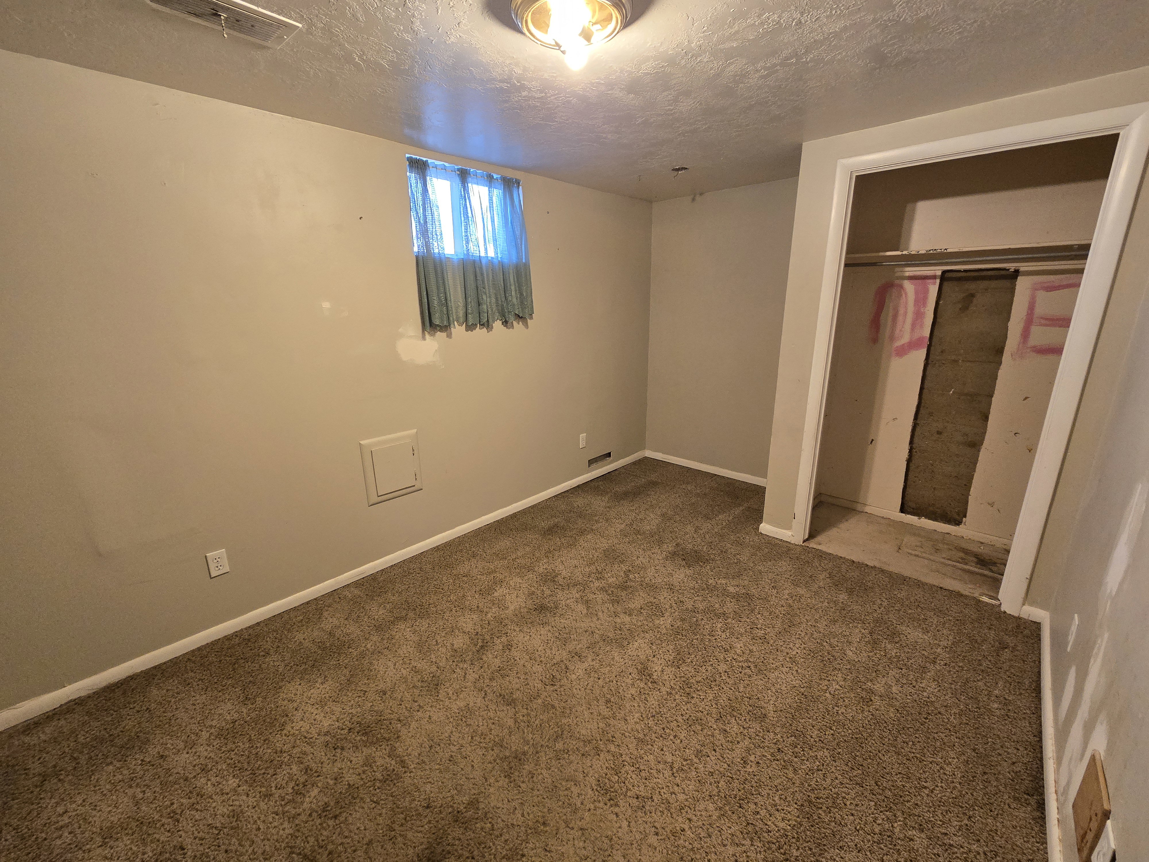Room featuring carpet flooring, painted walls, a window with curtains, a ceiling light fixture, and an open closet space