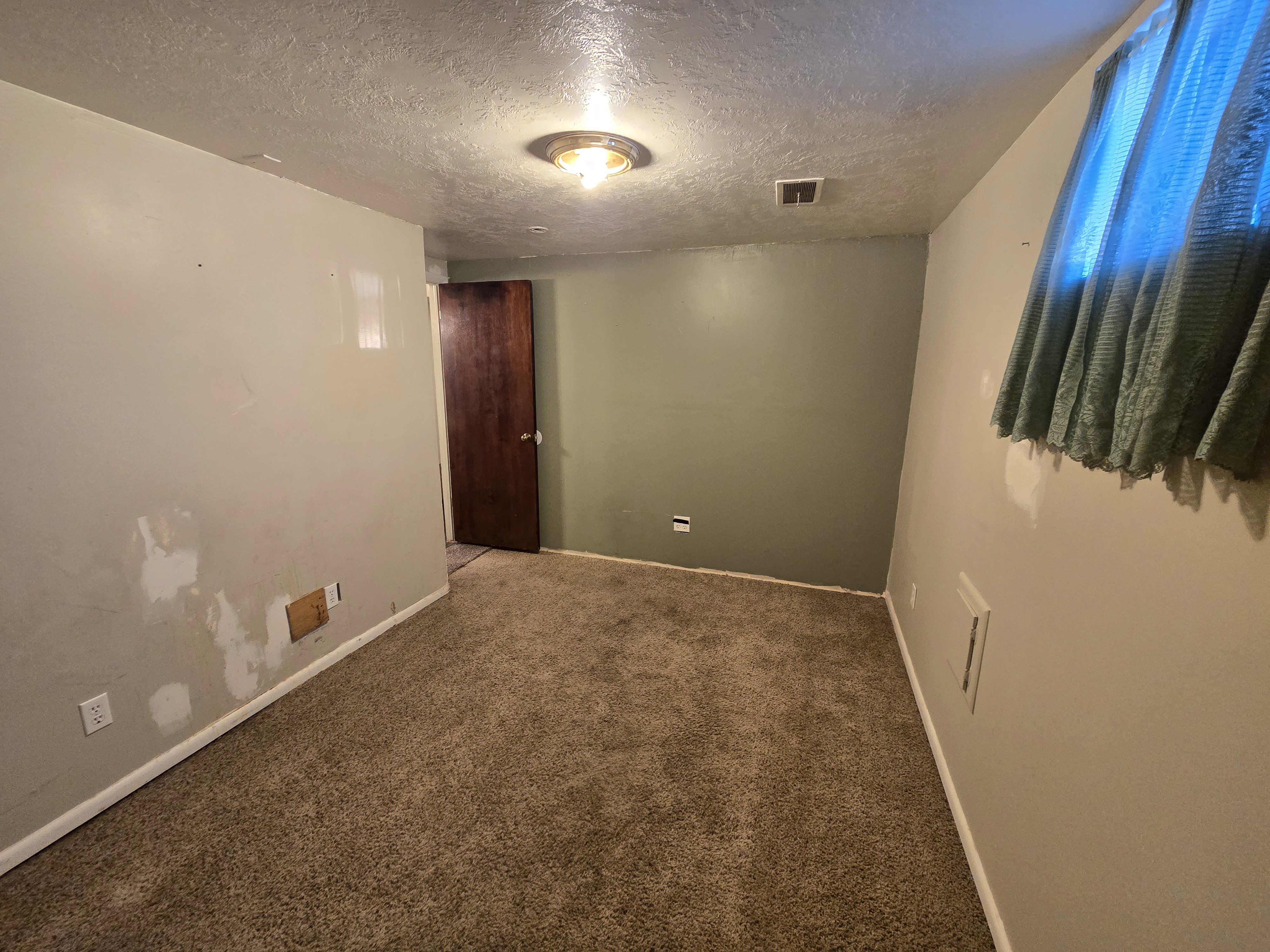 Carpeted room featuring a ceiling-mounted light fixture, a window with curtain, and a dark wood-finish door