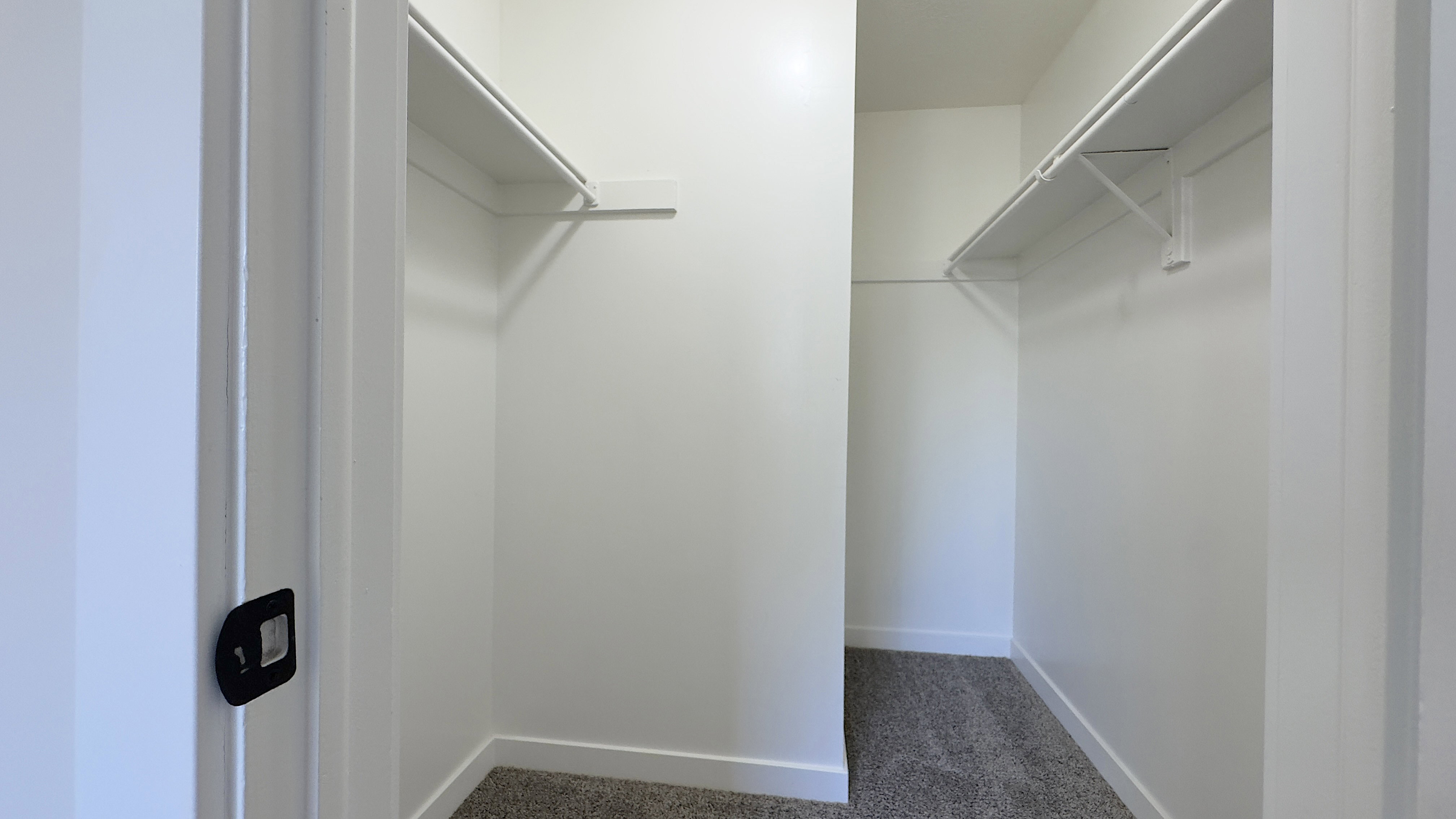 Primary Walk-in closet featuring white walls, white baseboards, and neutral carpeting.