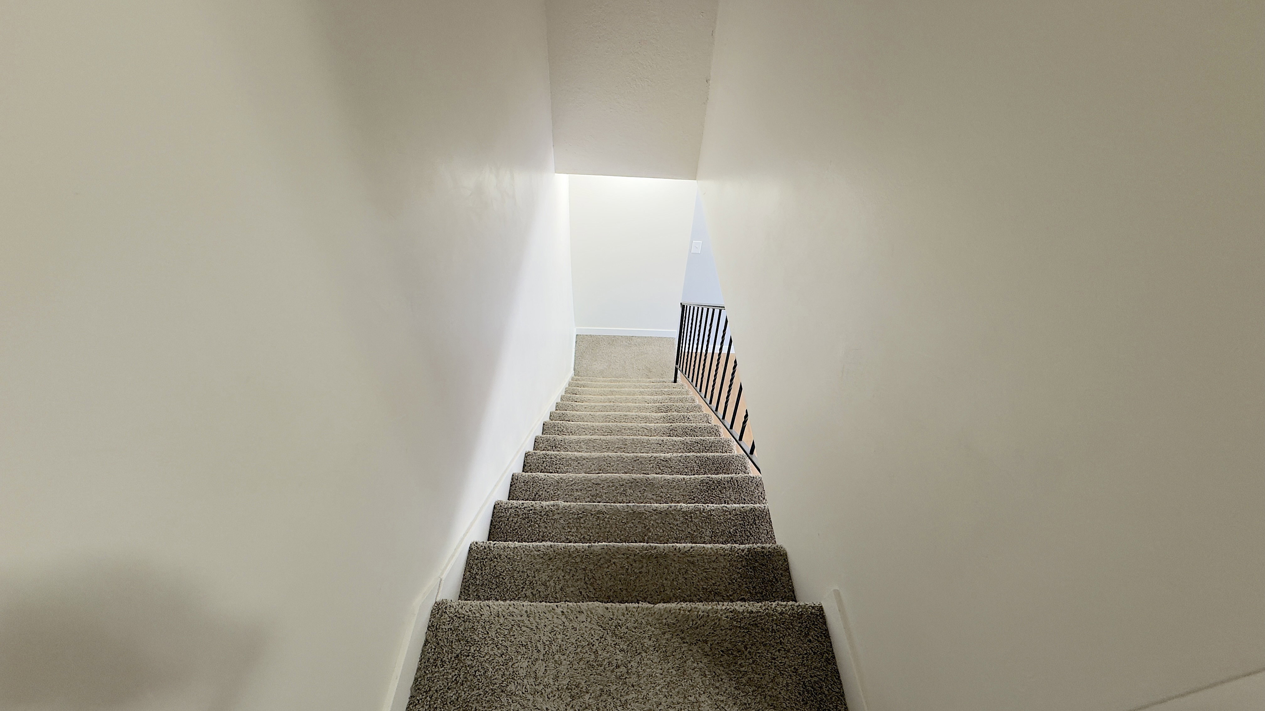 Carpeted staircase featuring a black metal railing at the bottom with white walls.