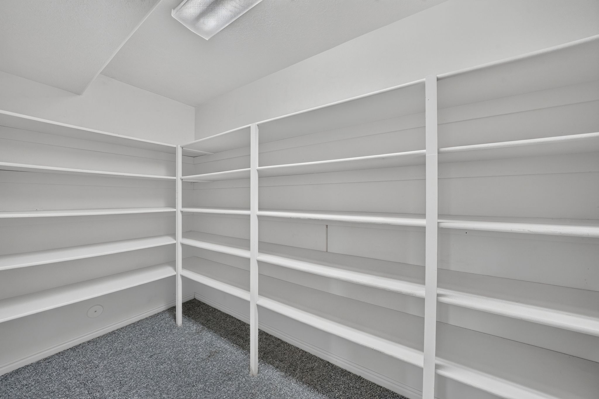 Spacious pantry featuring extensive built-in shelving, durable carpeting, and overhead fluorescent lighting