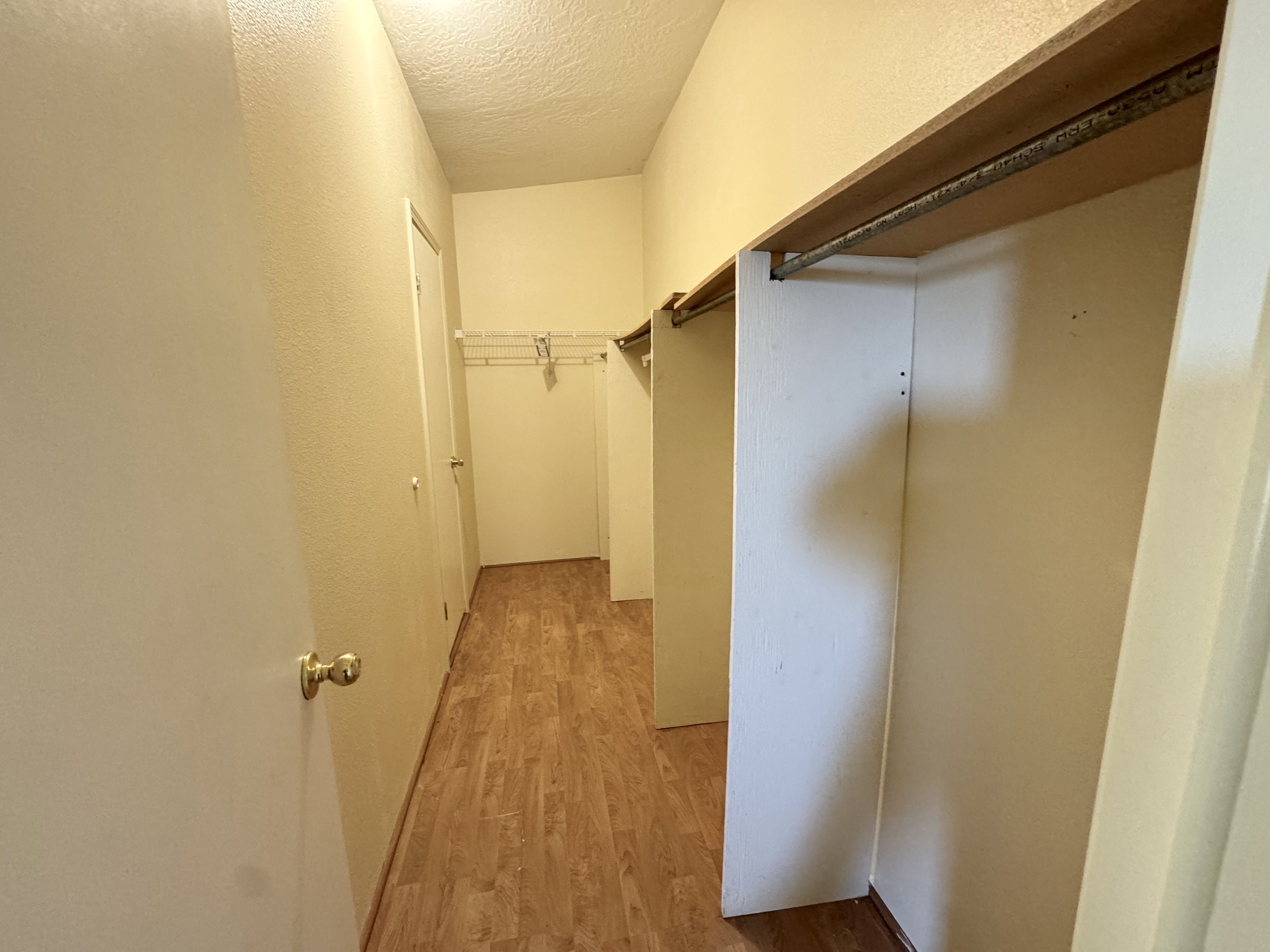 Walk-in closet with wood-finish flooring, white walls, and built-in shelving units