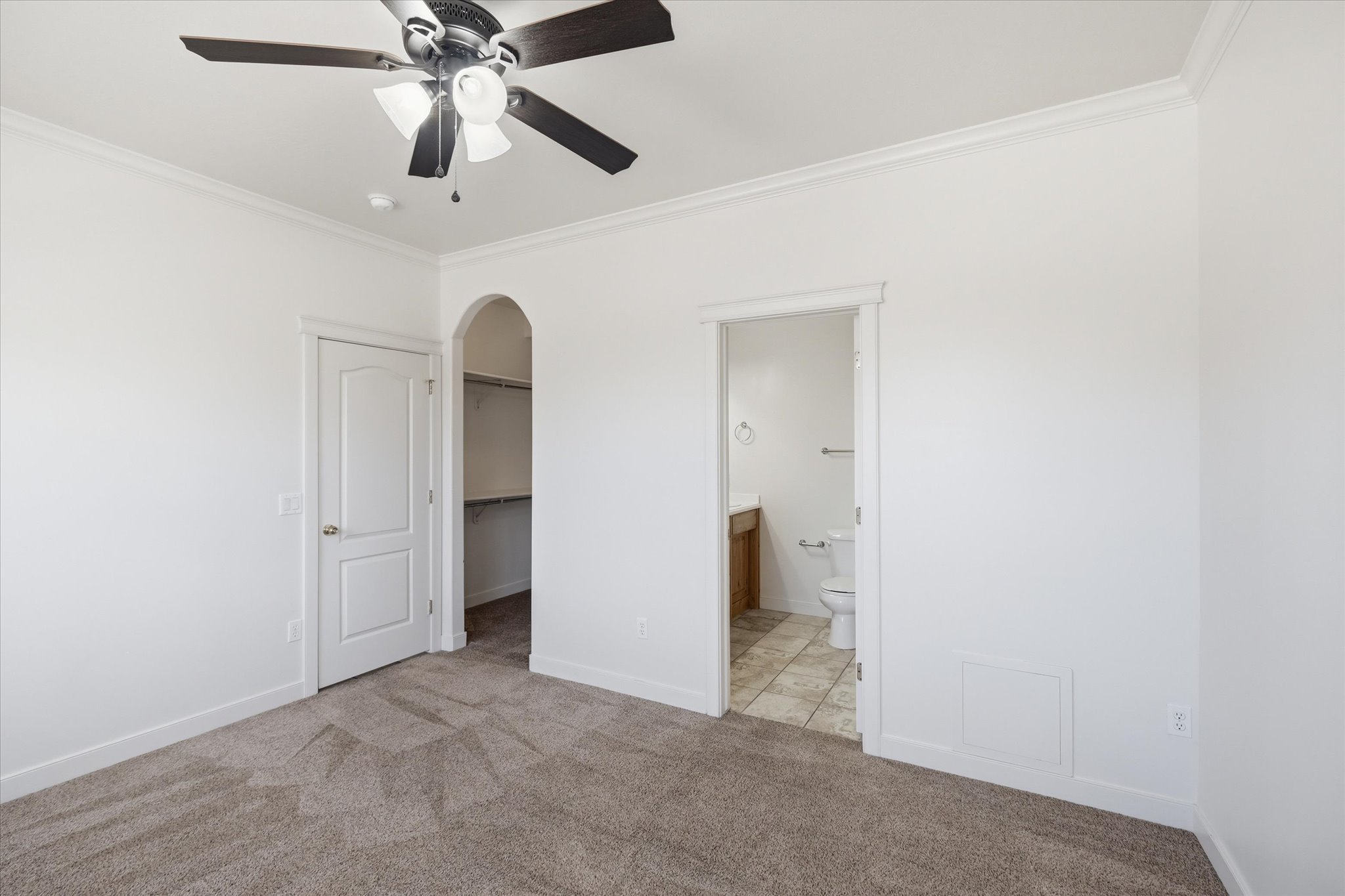 Bright interior room featuring neutral carpet flooring and white walls