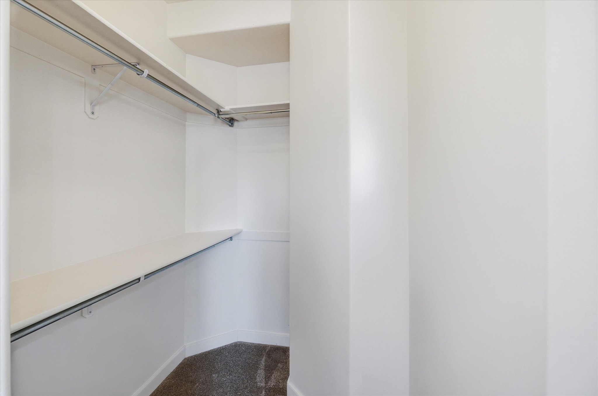 Walk-in closet featuring white painted walls, shelving, clothing rods, and carpeting