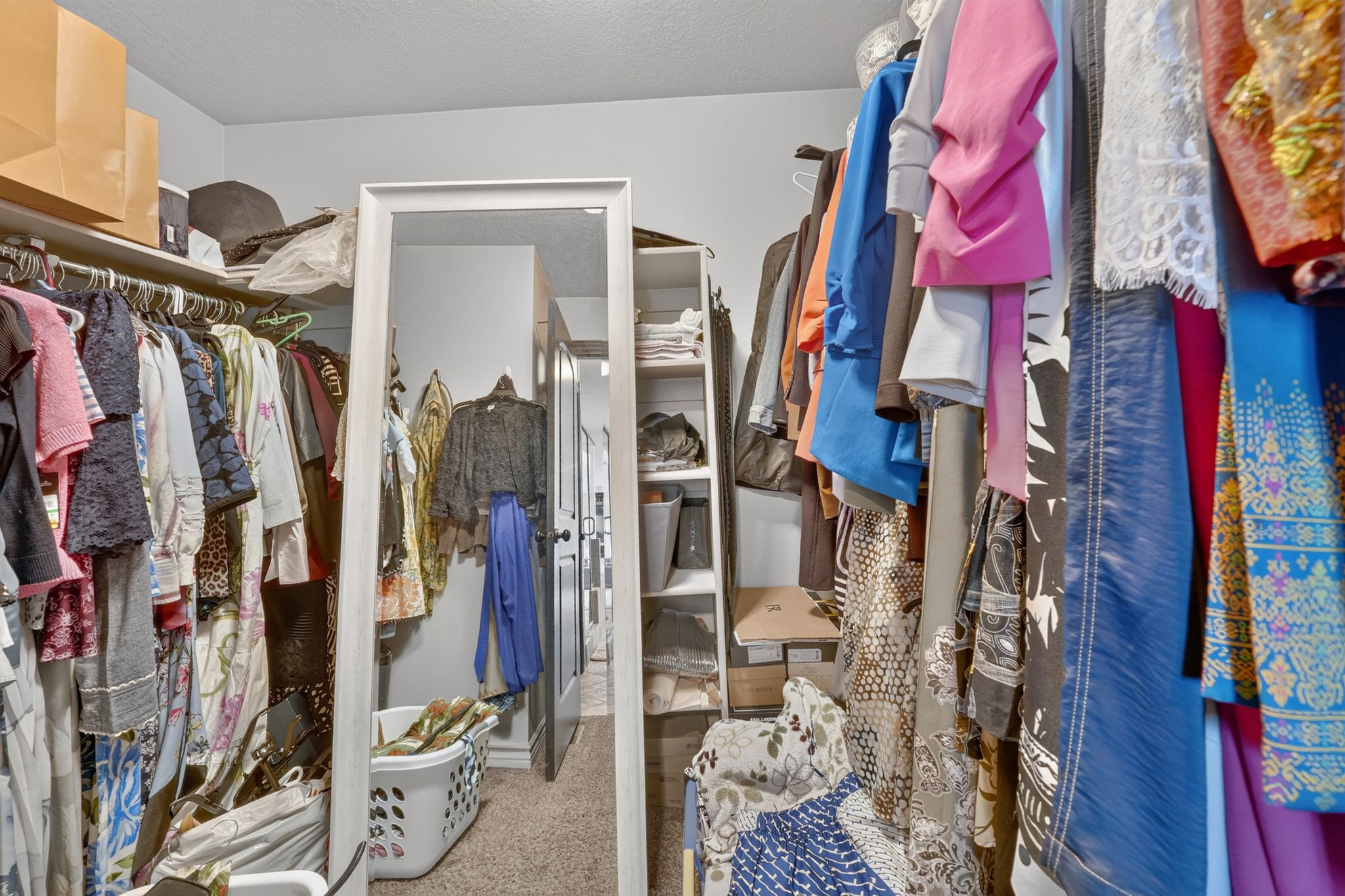 Primary Walk-in closet featuring carpeted flooring, built-in shelving, and a full-length mirror