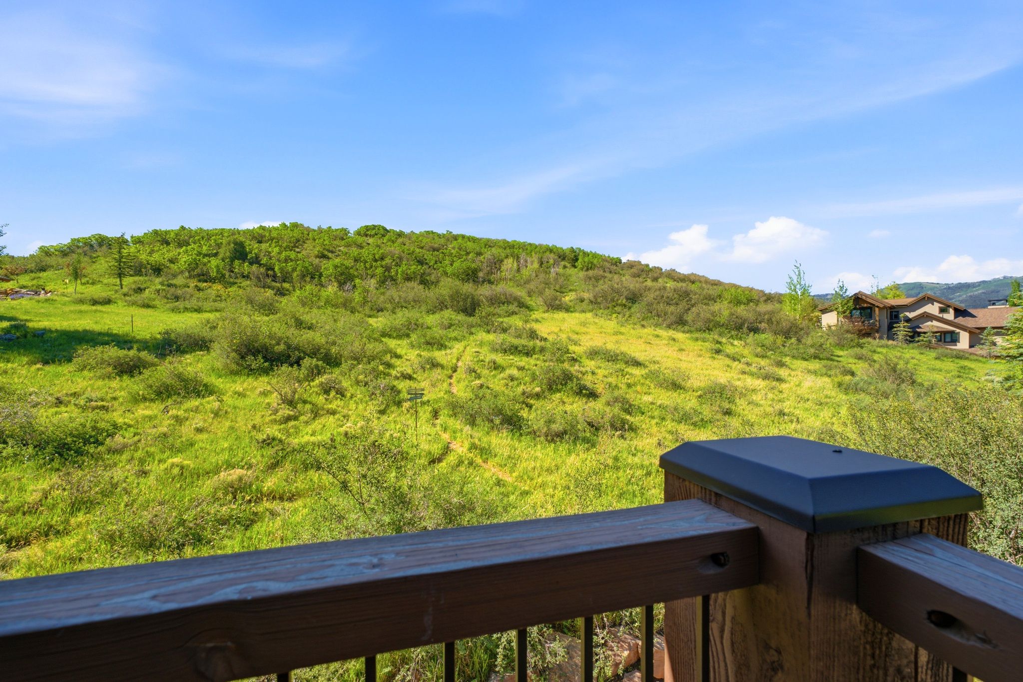 Wood-finish deck railing with black metal balusters and post caps