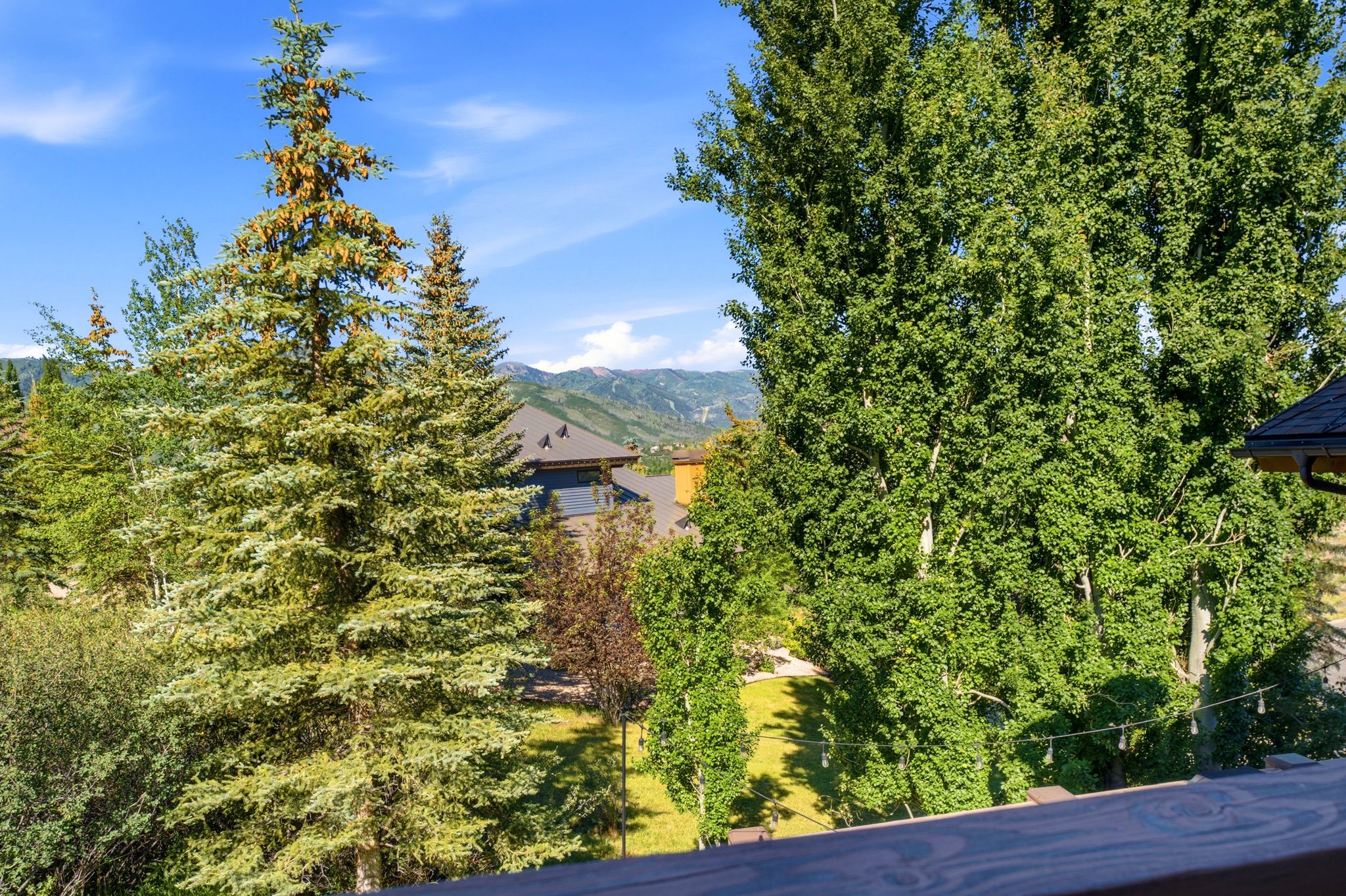 Mature evergreen and deciduous trees frame a mountain landscape, showcasing distant architectural rooflines