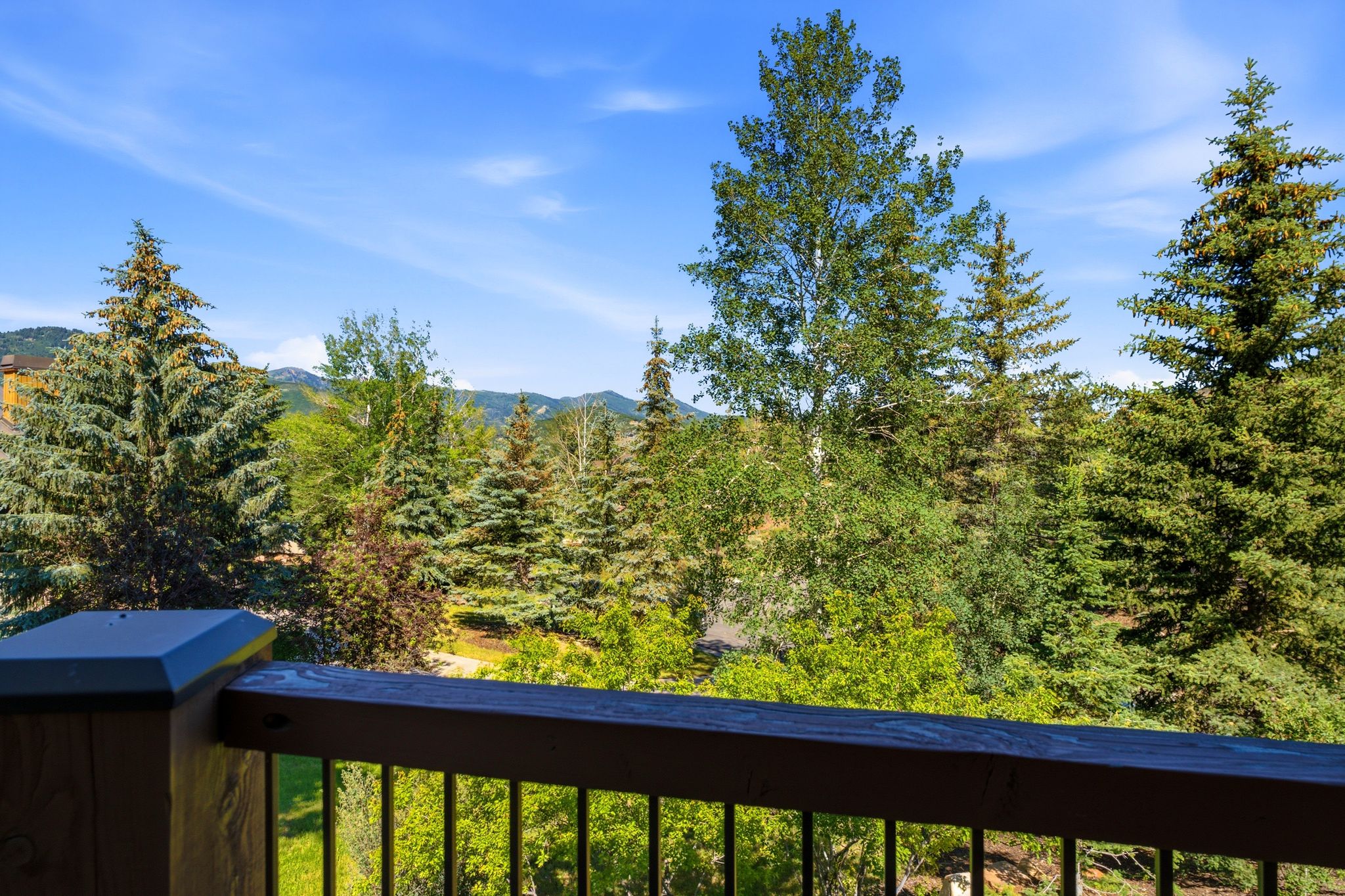 Balcony railing with dark wood-finish top rail and black metal spindles