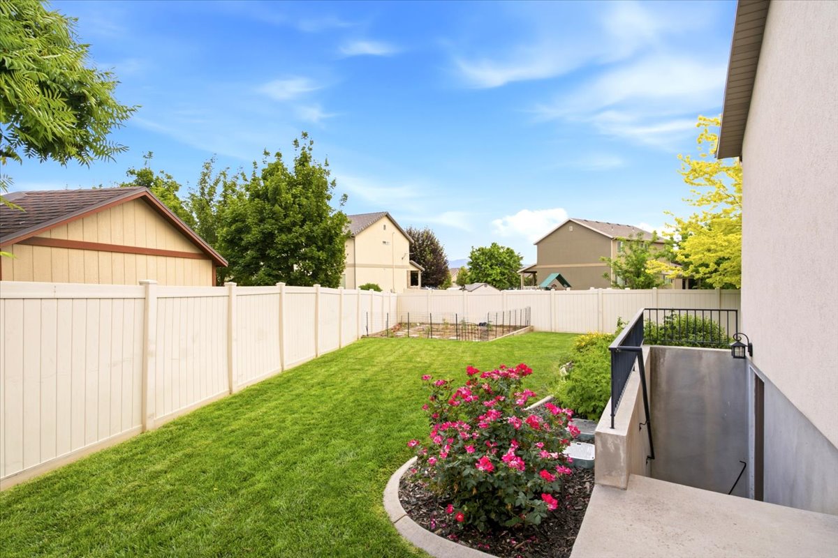 Expansive backyard featuring a green lawn, privacy fencing, a lower-level entrance, and established landscaping with rose bushes