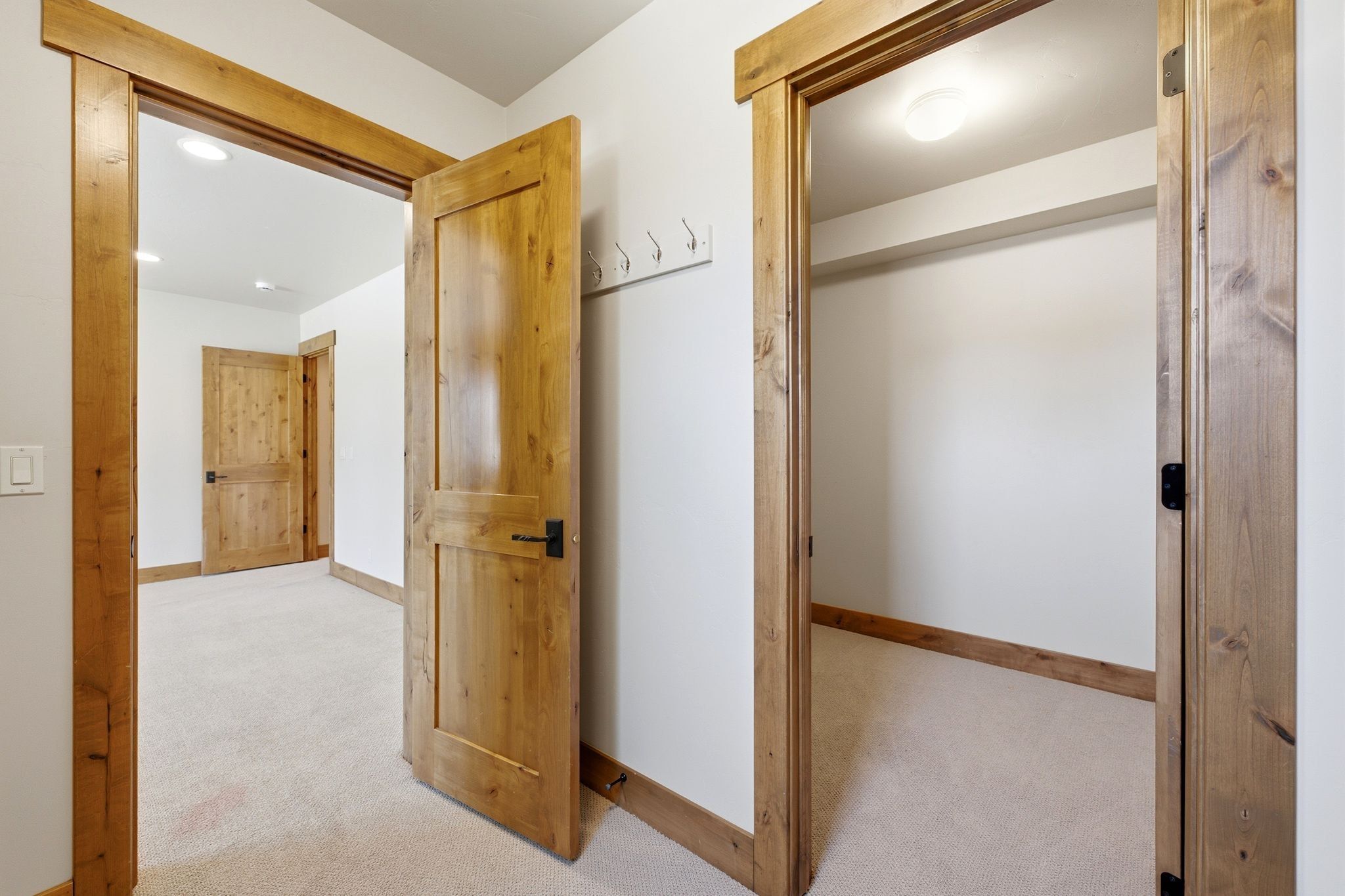 Bright interior hallway featuring light wood-finish doors and trim