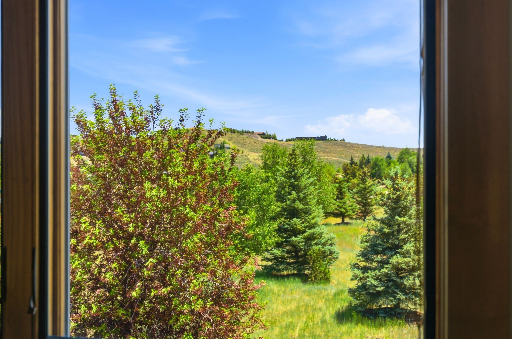 Expansive natural landscape visible through a framed window, featuring mature trees, verdant hills, and a clear blue sky
