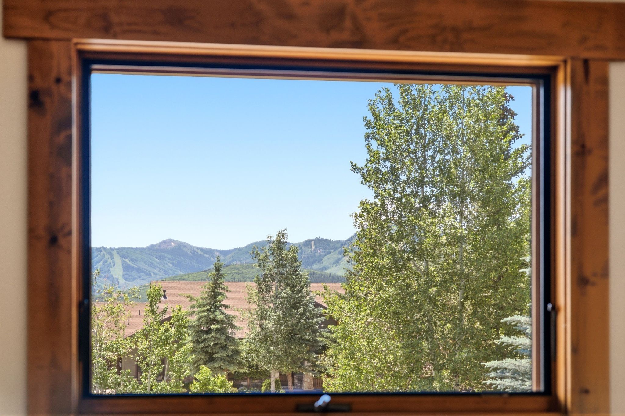 Expansive window framed by natural wood trim, showcasing distant mountains and mature trees