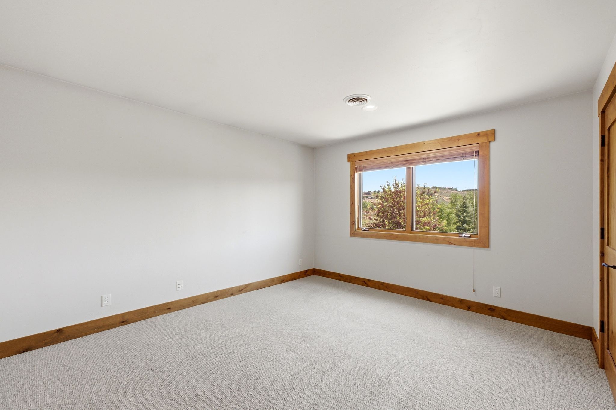 Room featuring a large window with wood trim, light-colored carpet, white walls, wood baseboards, and a wood door