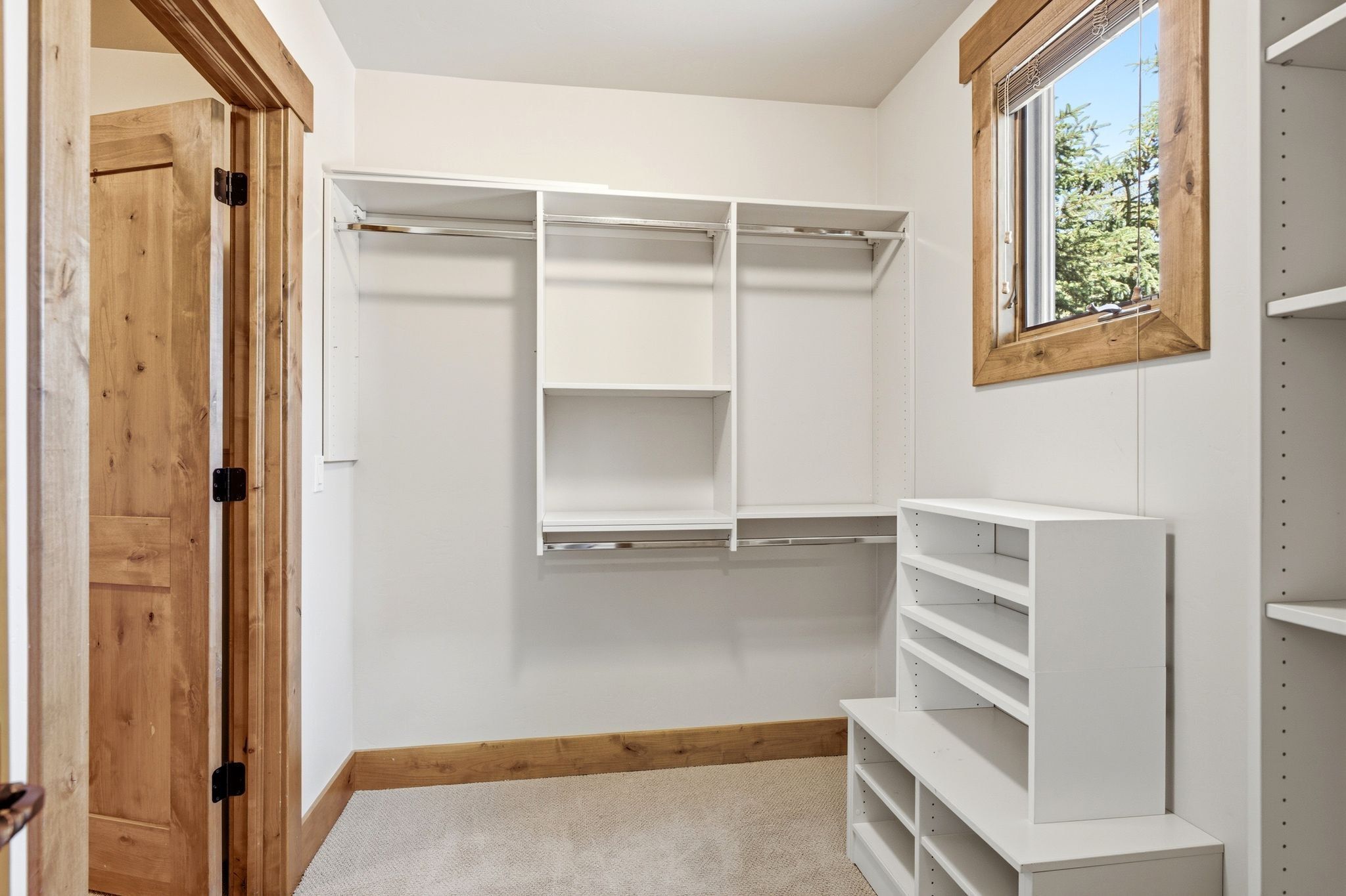 Walk-in closet featuring white built-in shelving, hanging rods, carpet flooring, a wood-framed window, and a solid wood door with dark hardware