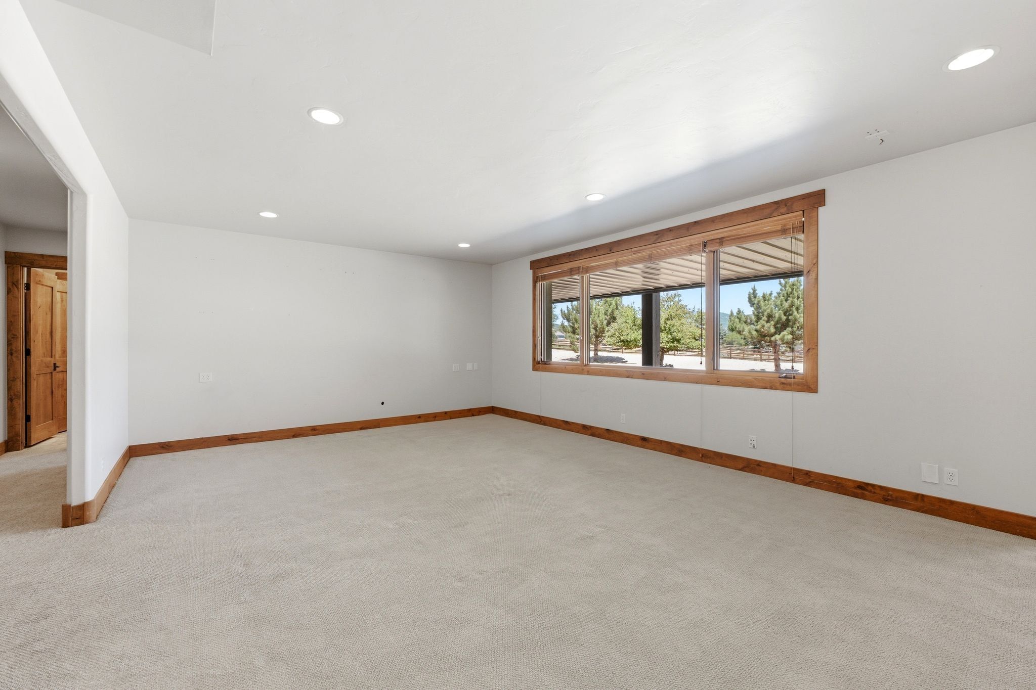 Expansive room featuring light-toned carpeting, white walls, and recessed lighting
