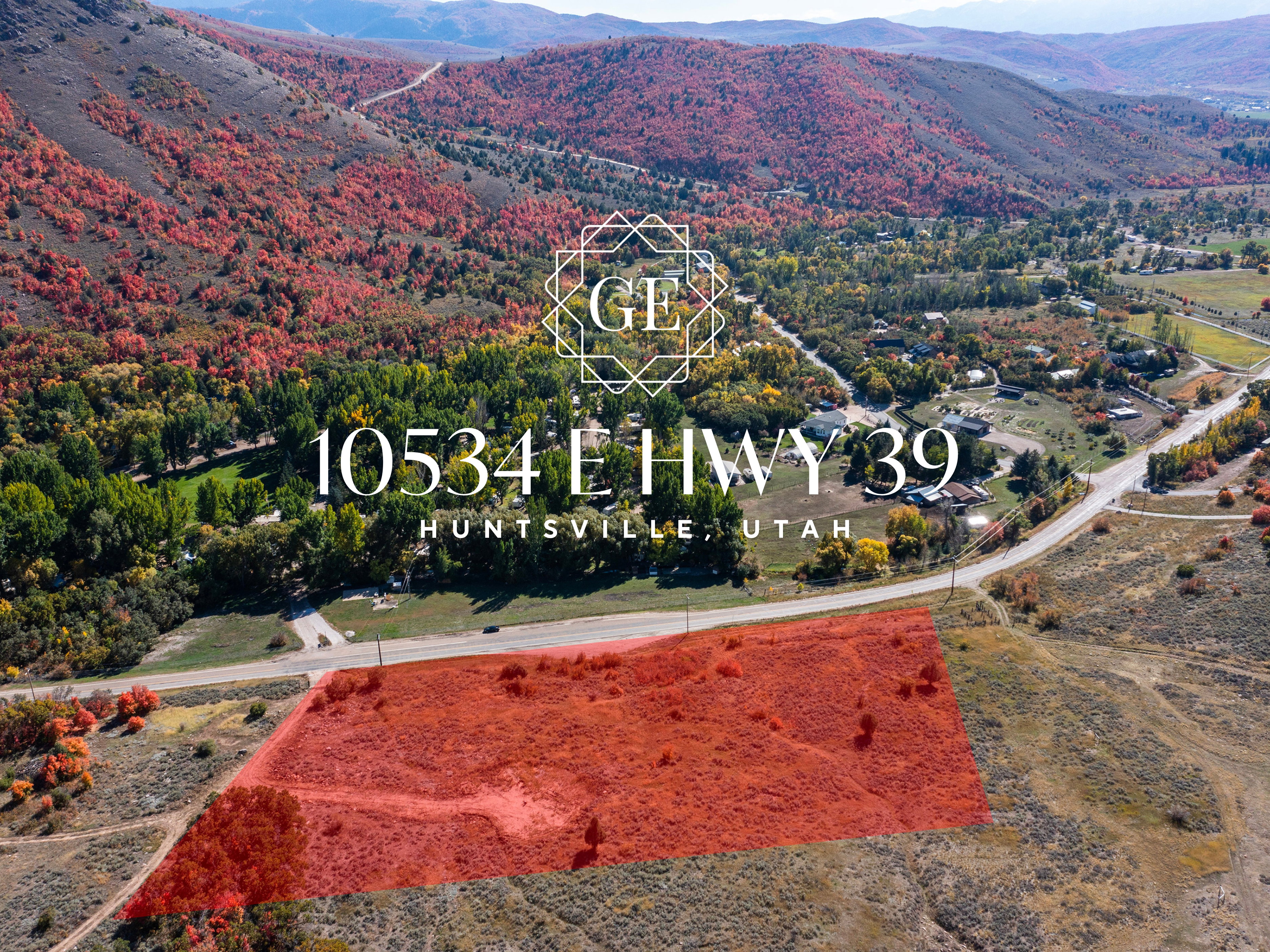 Expansive land parcel with direct road frontage, surrounded by rolling hills and mature trees