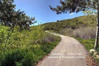 Paved pathway with surrounding natural landscaping