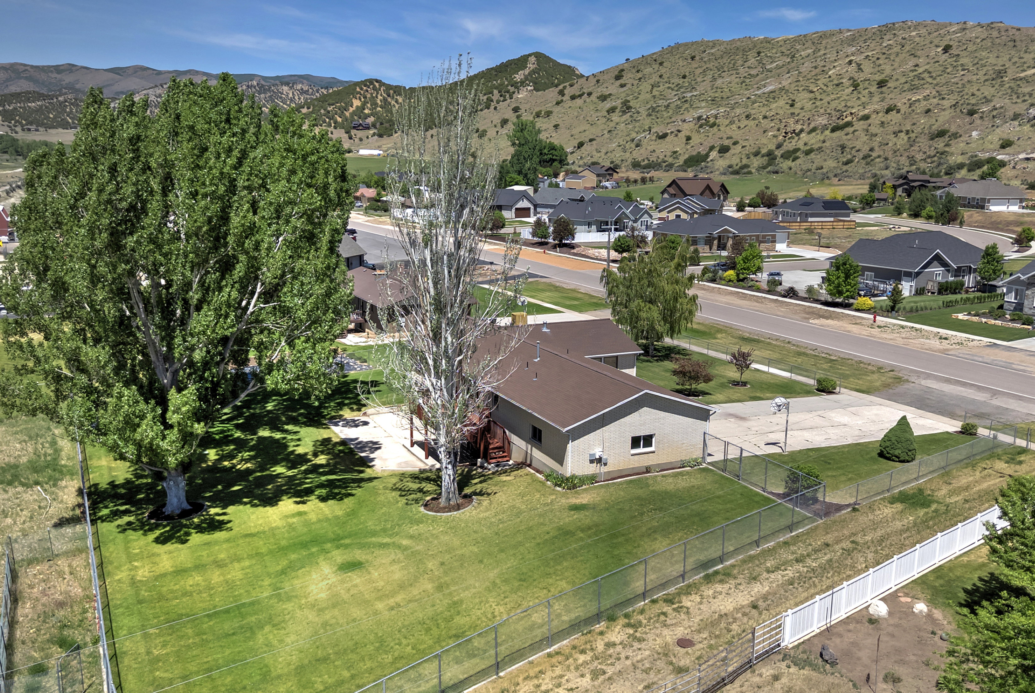 Expansive fenced backyard featuring a large mature tree, manicured lawn, and a paved court area