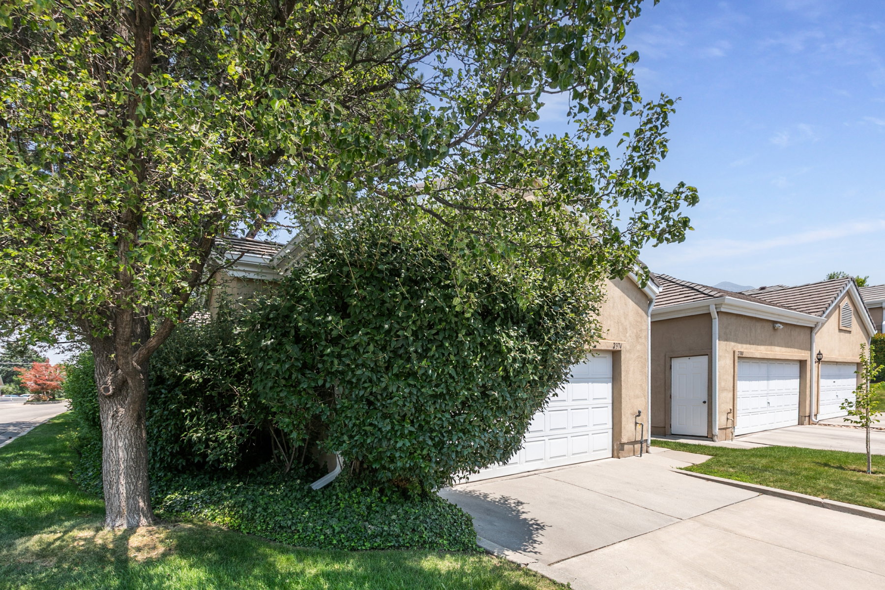 Exterior featuring a mature tree, extensive shrubbery, manicured lawn, and concrete driveway leading to multiple garage doors