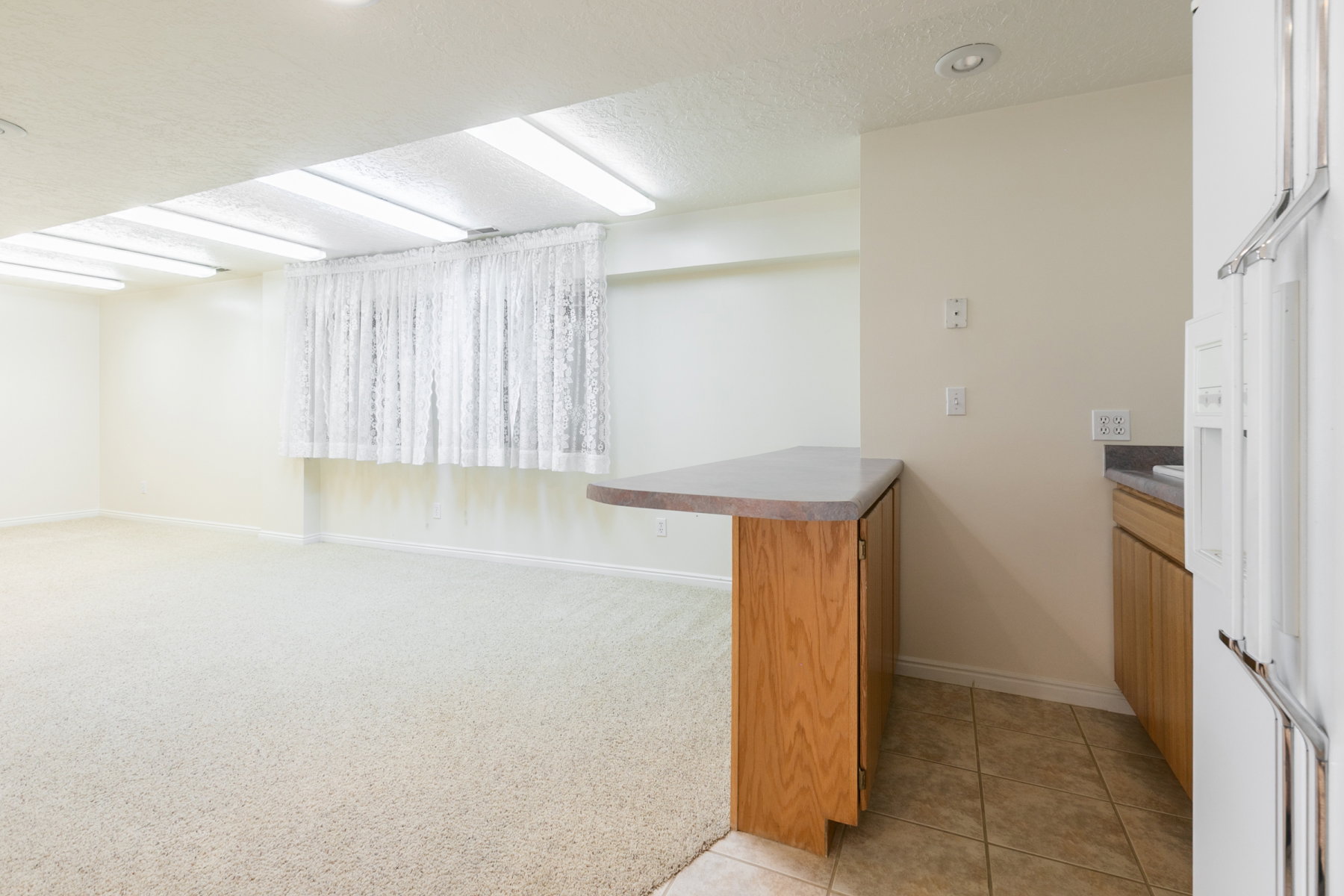 Open-concept room featuring light-toned carpeting, ample fluorescent lighting, and a window with white lace curtains