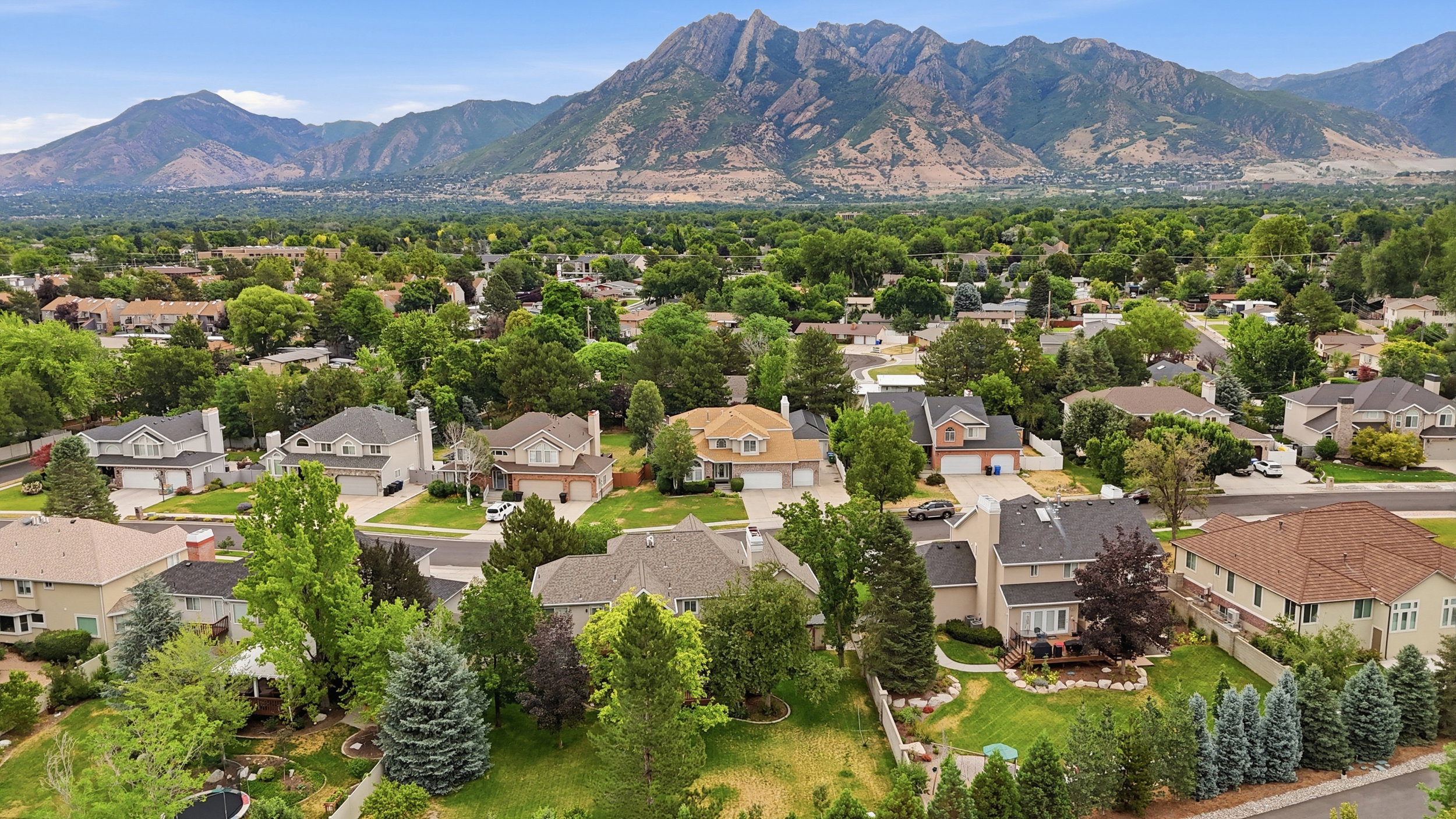 Expansive neighborhood with diverse architectural styles, mature trees, mountain backdrop, paved streets, and varied landscaping