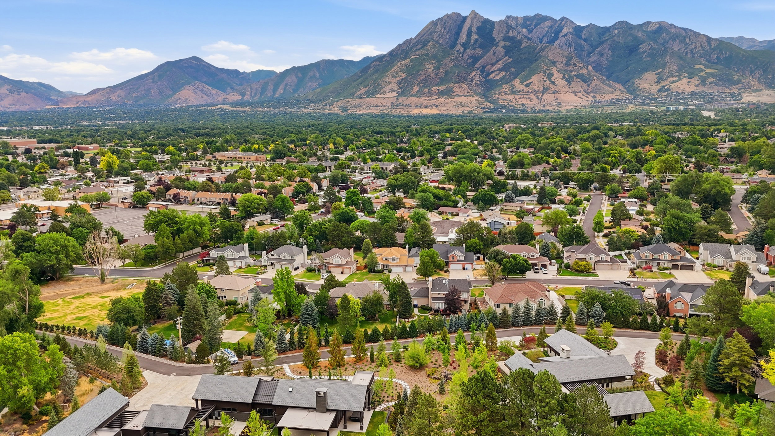 Expansive aerial perspective showcasing a residential area with lush green trees