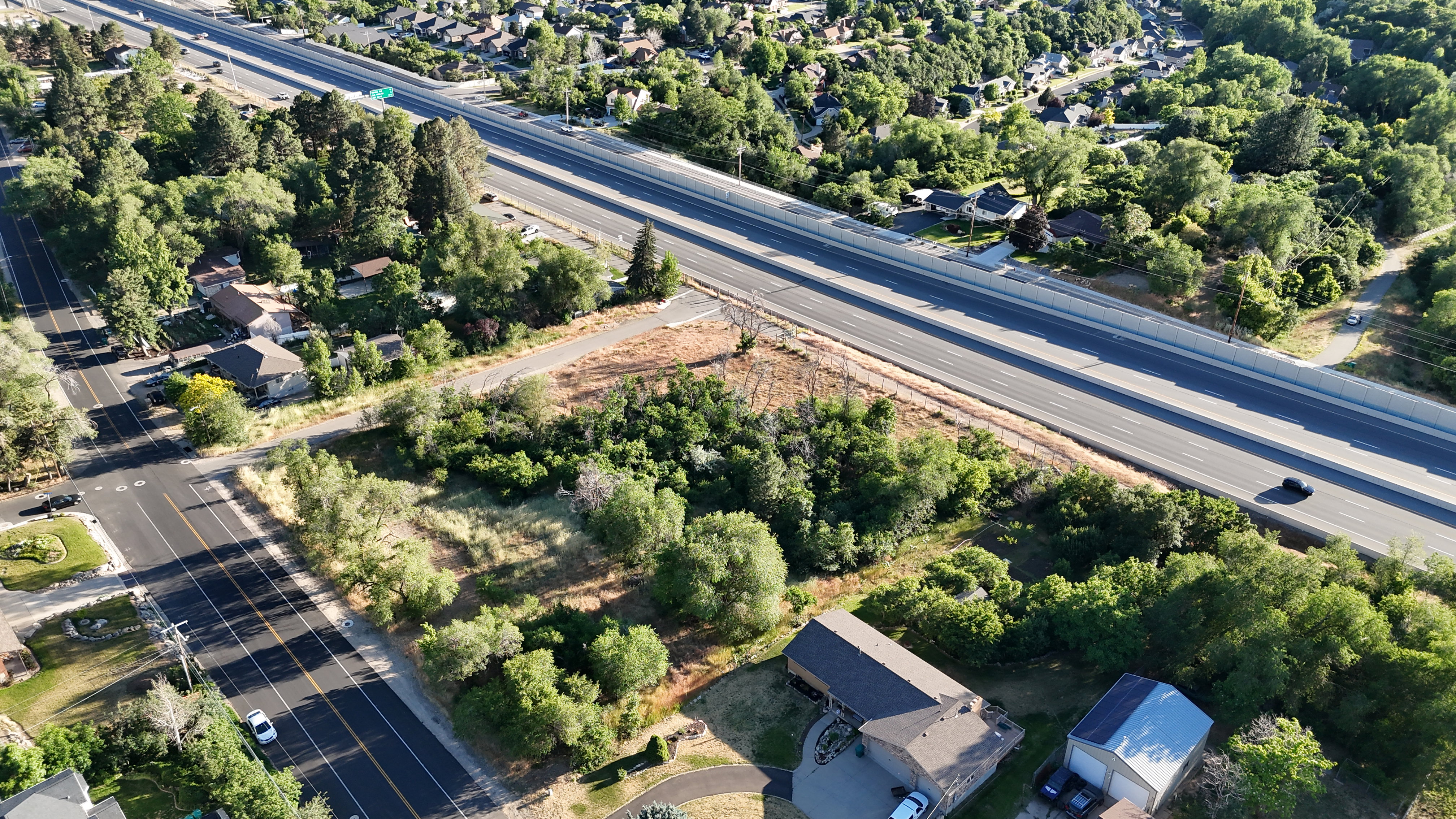 Expansive property lot featuring mature trees and varied vegetation