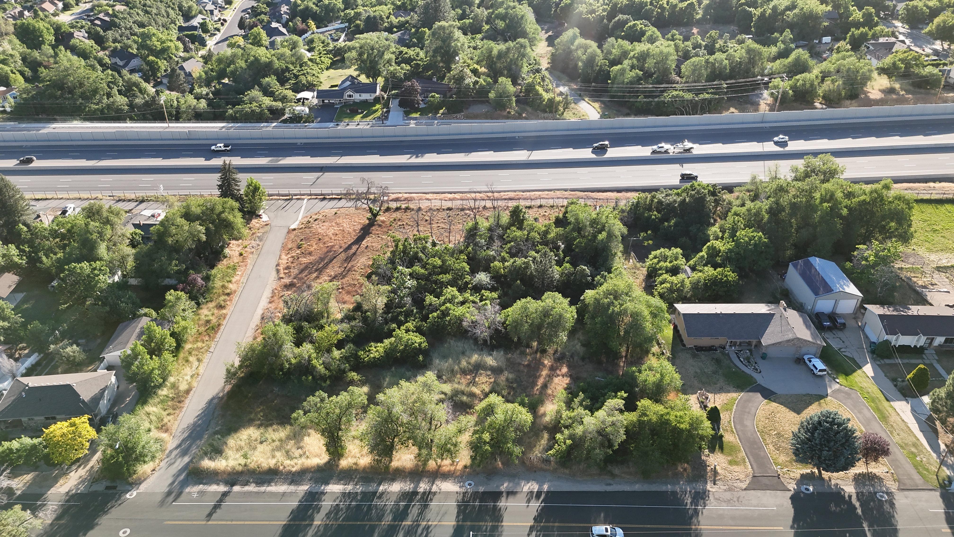 Expansive undeveloped parcel featuring mature trees and direct street frontage
