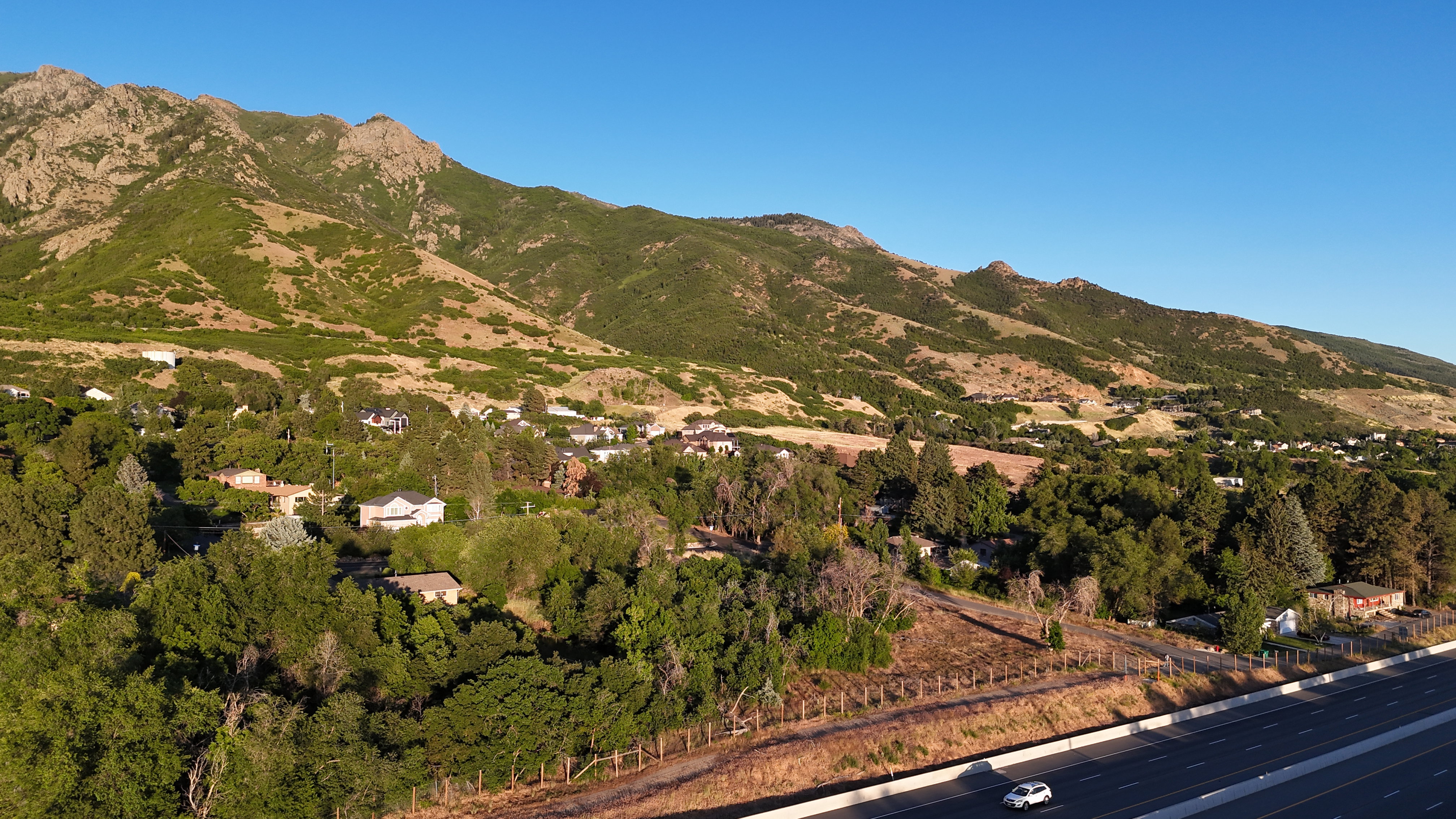 Residential properties nestled amongst abundant mature trees, positioned at the base of a verdant mountain range